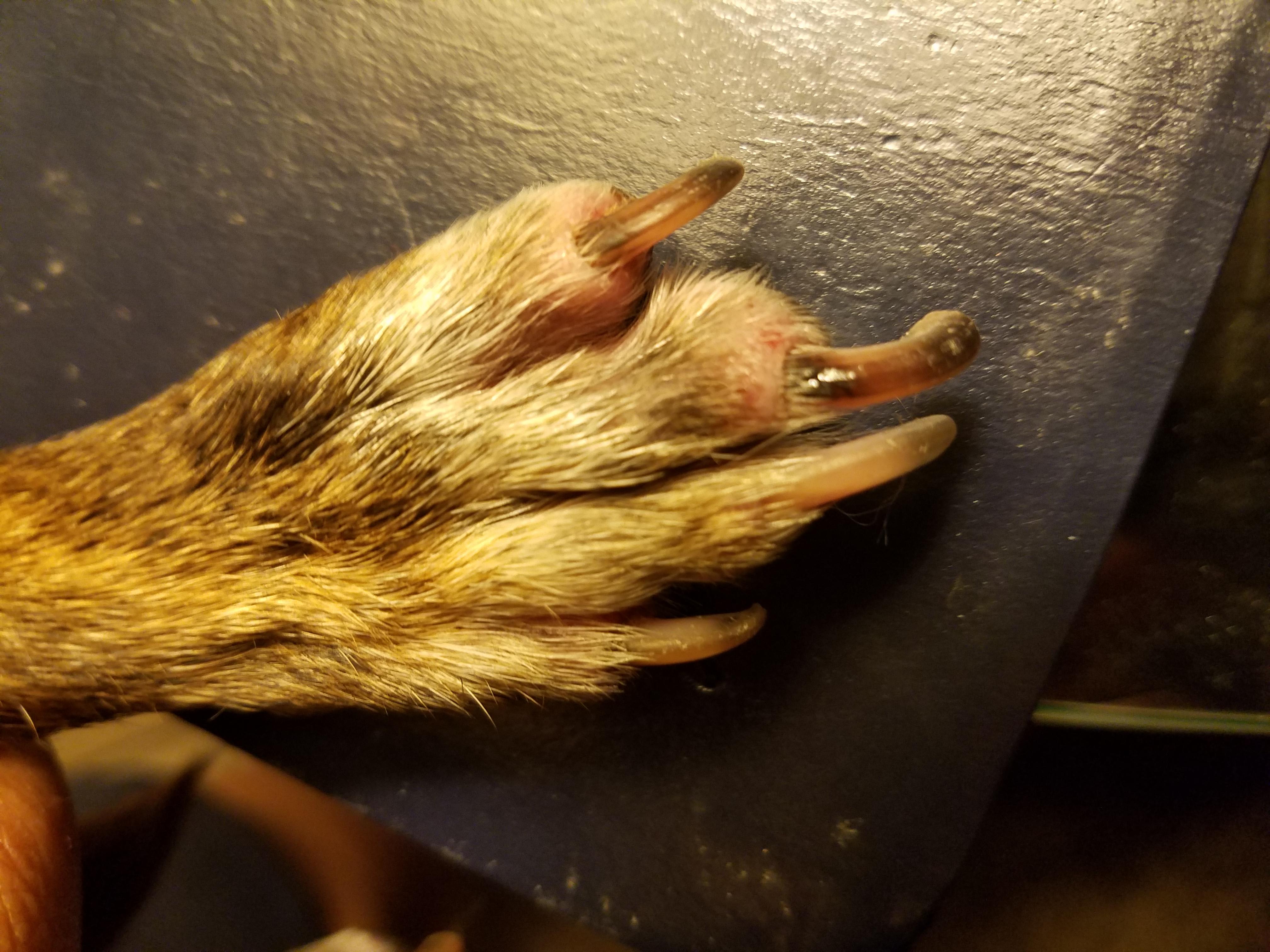 Question details sensitive content