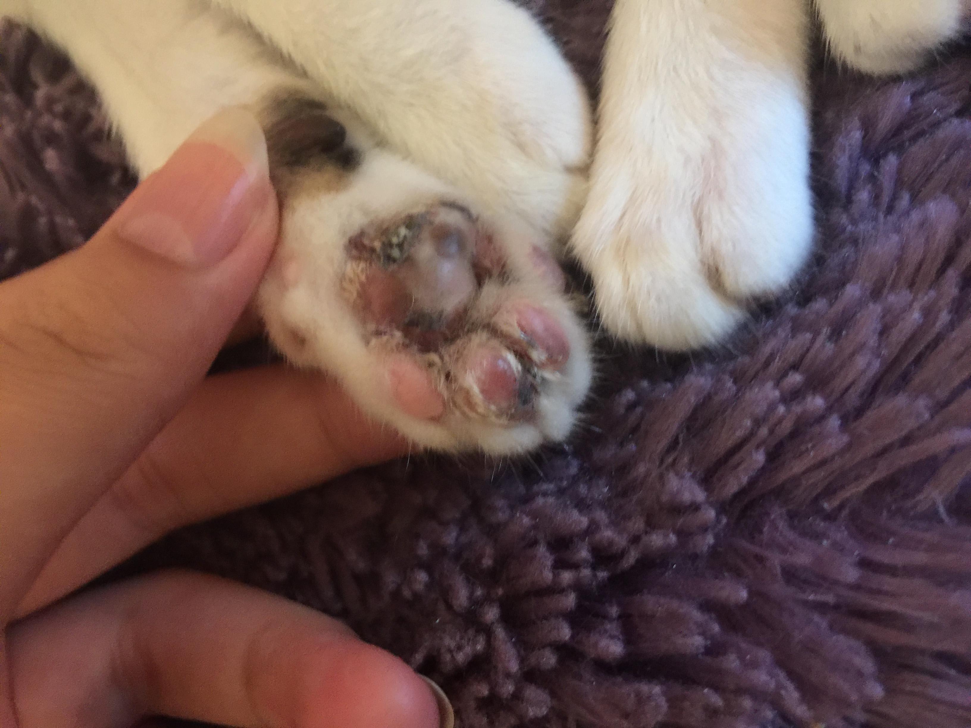 Question details sensitive content