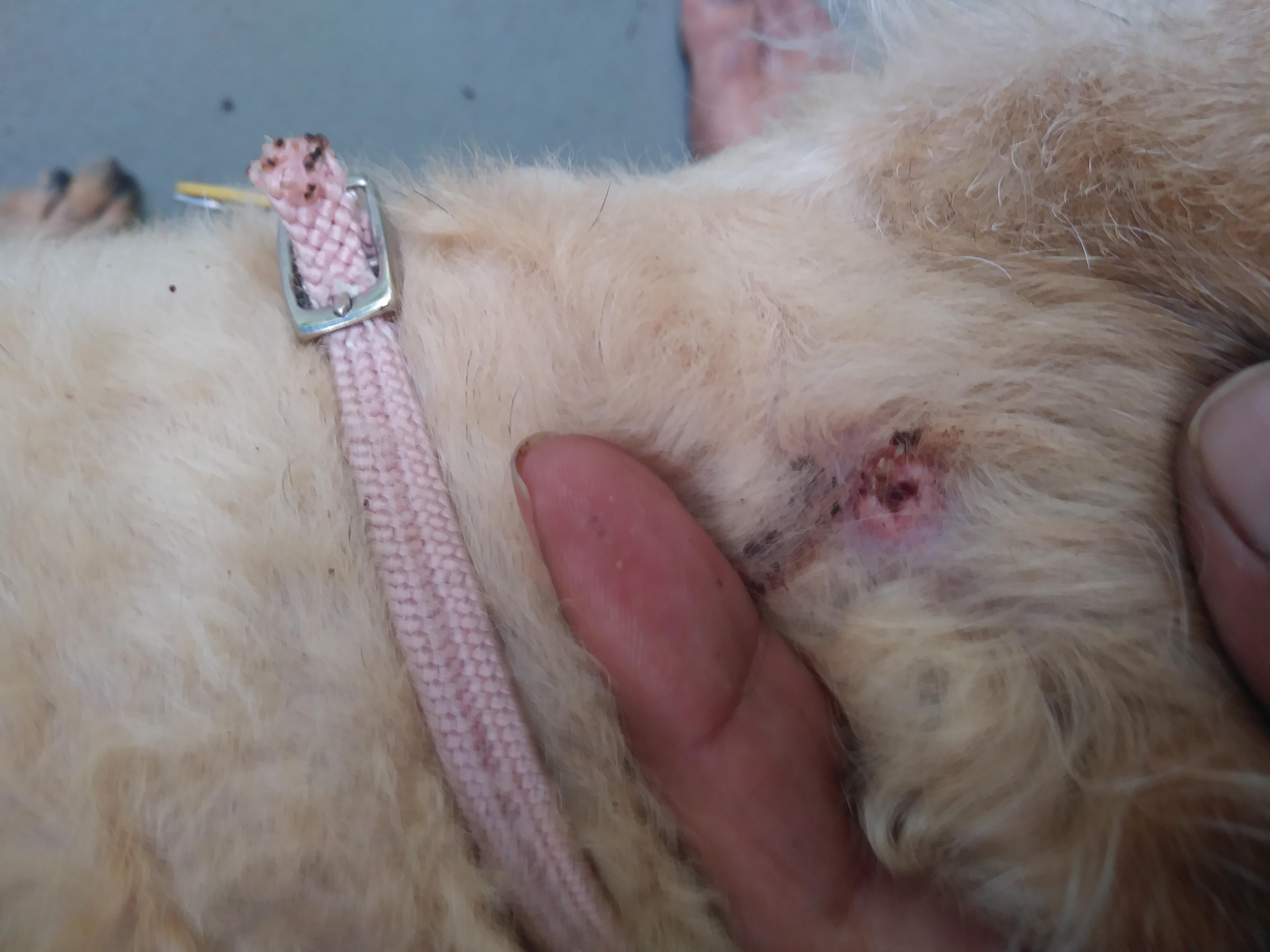 Question details sensitive content