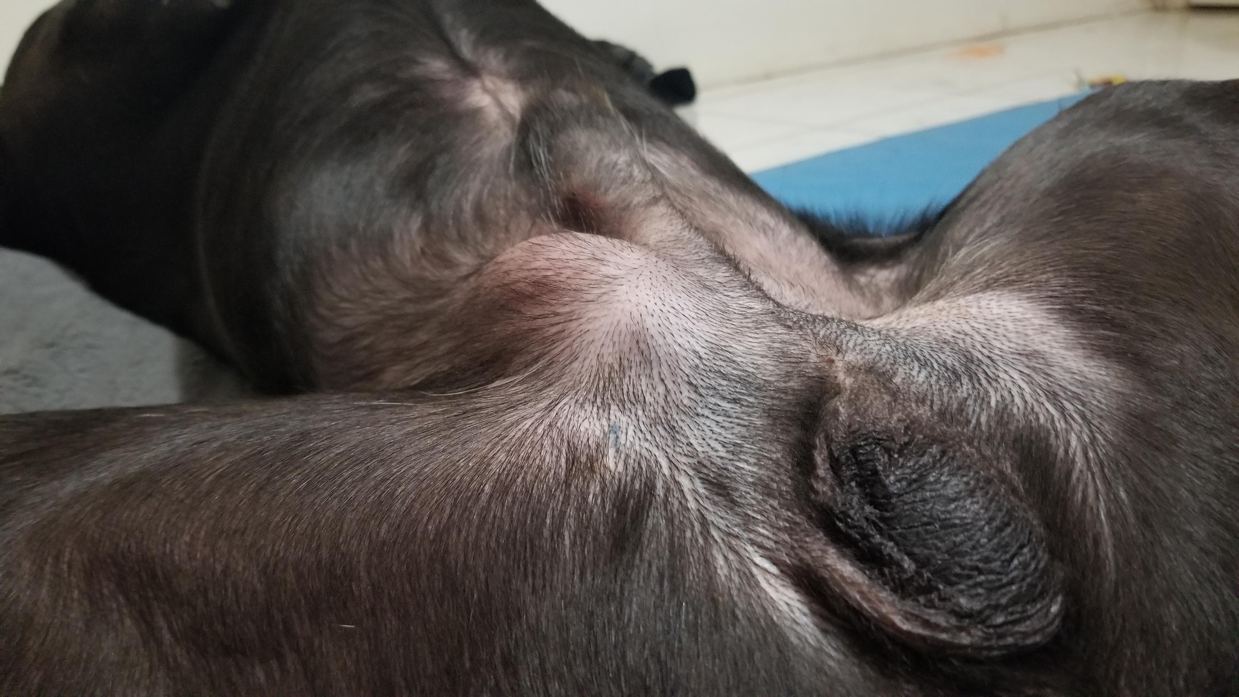 Question details sensitive content