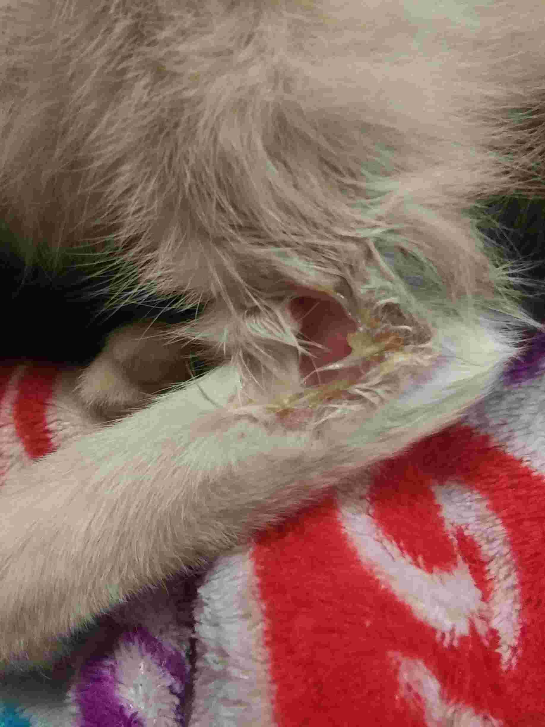 Question details sensitive content