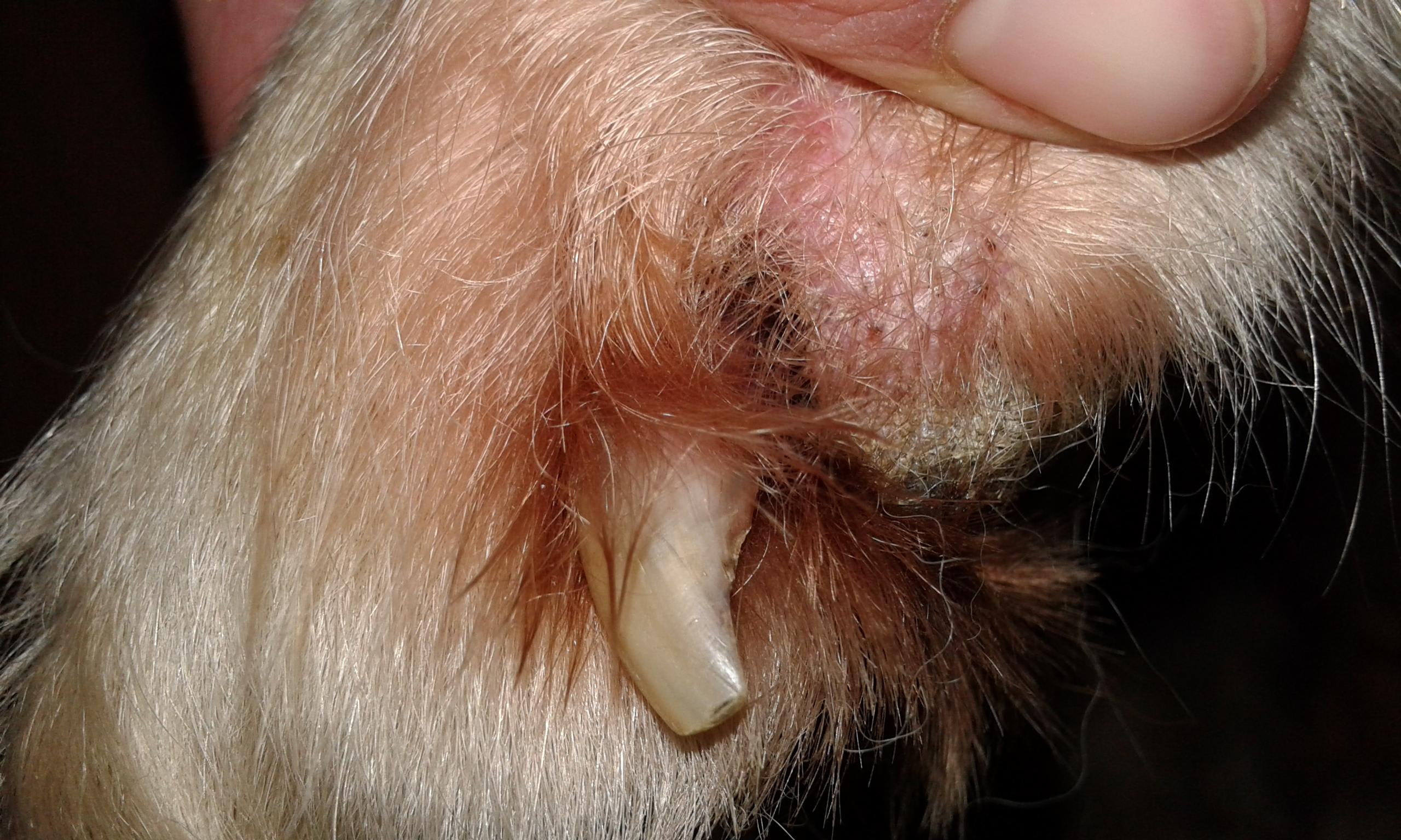 Question details sensitive content