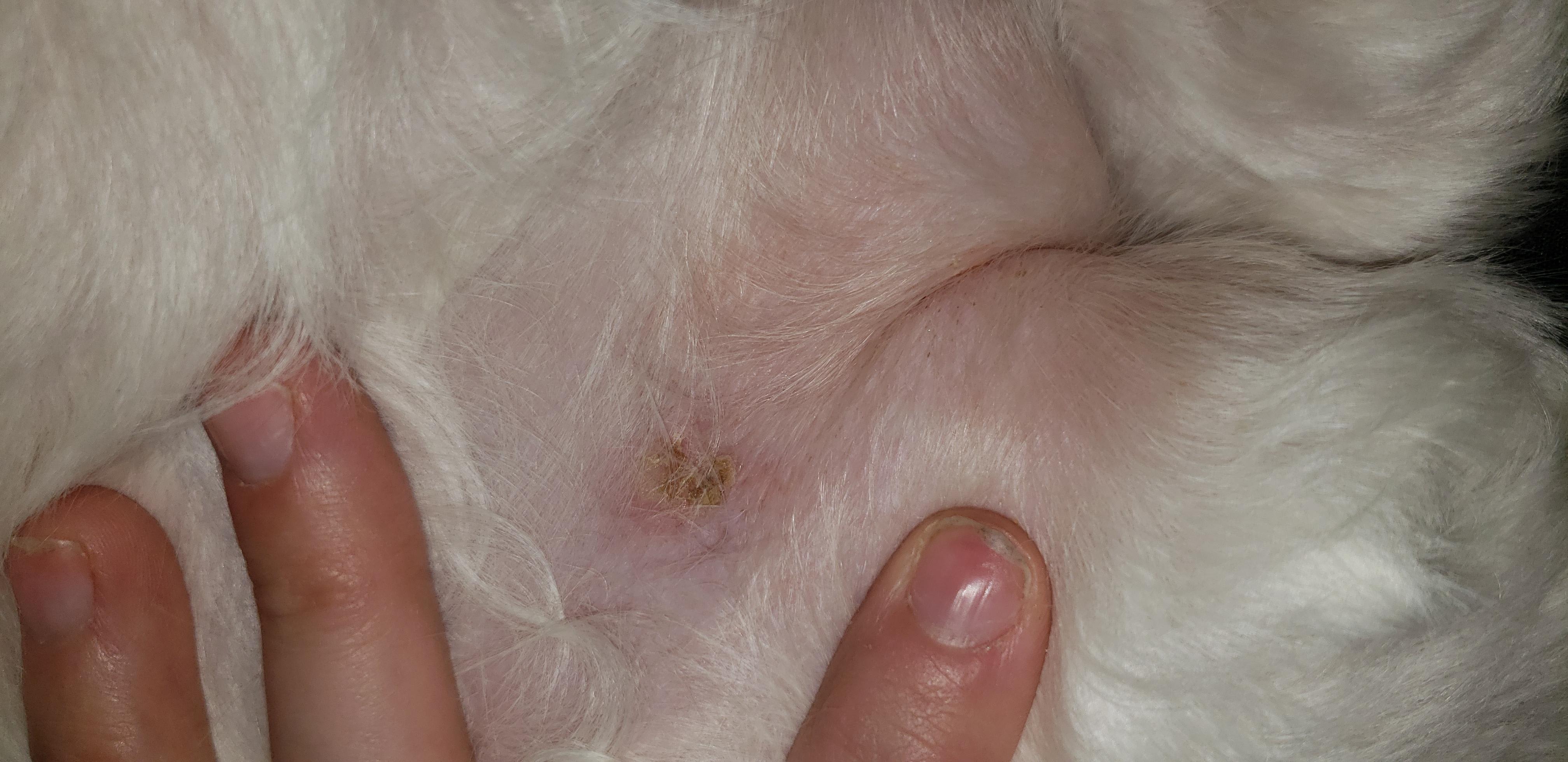 Question details sensitive content