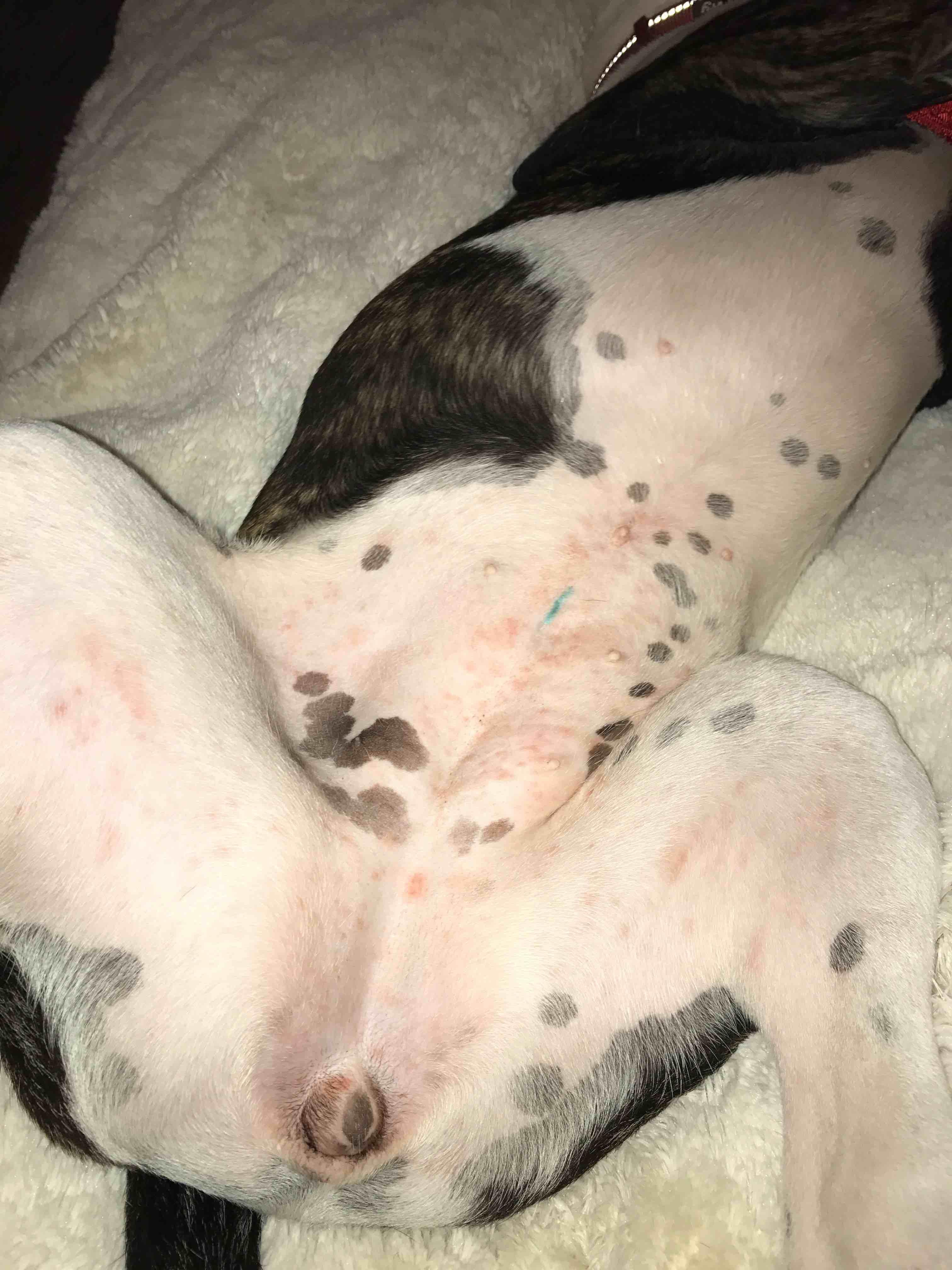 Question details sensitive content