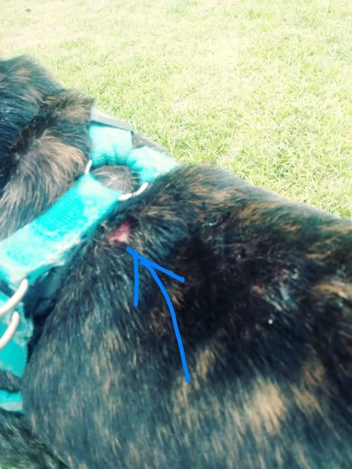 Question details sensitive content