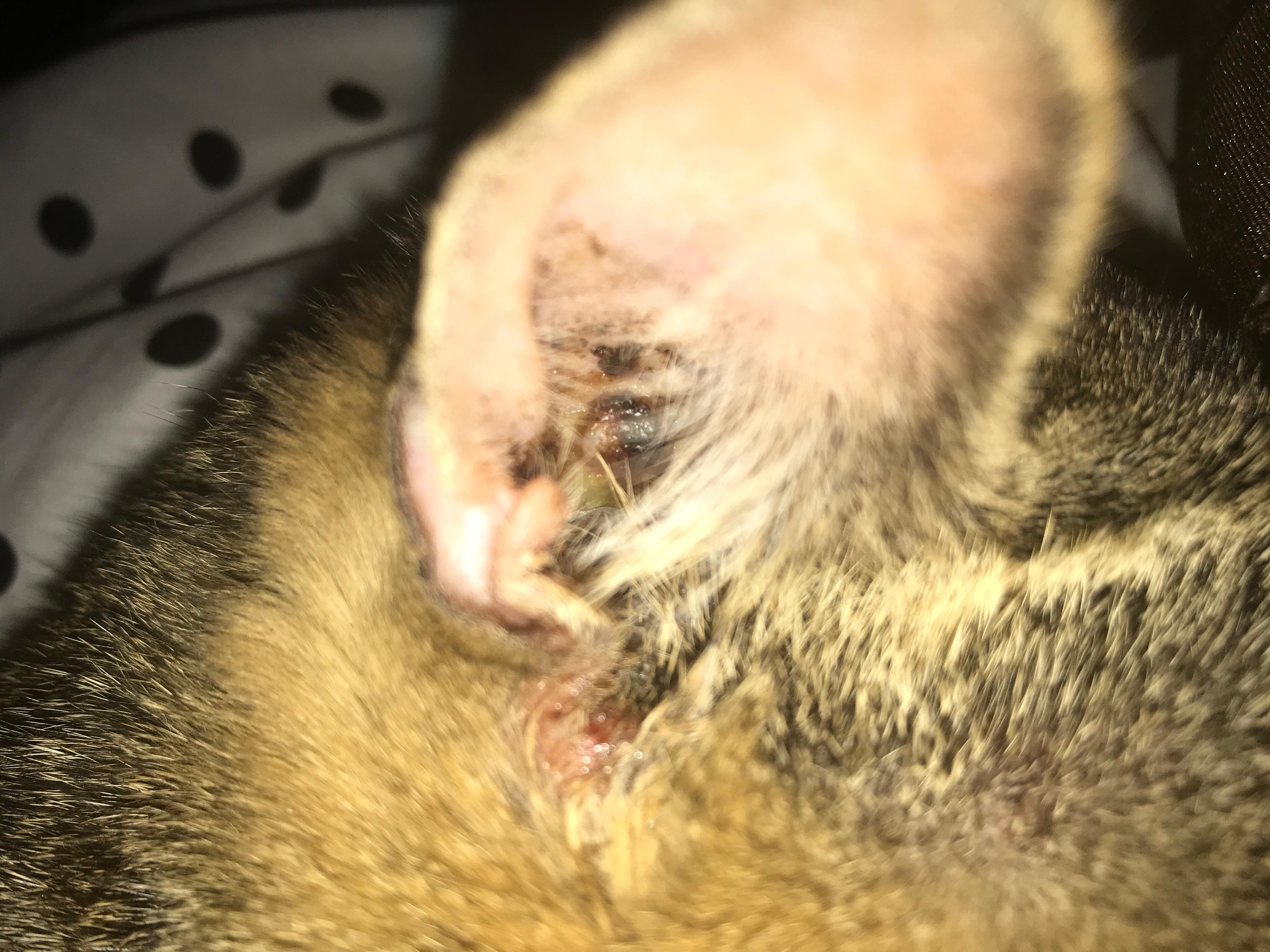 Question details sensitive content