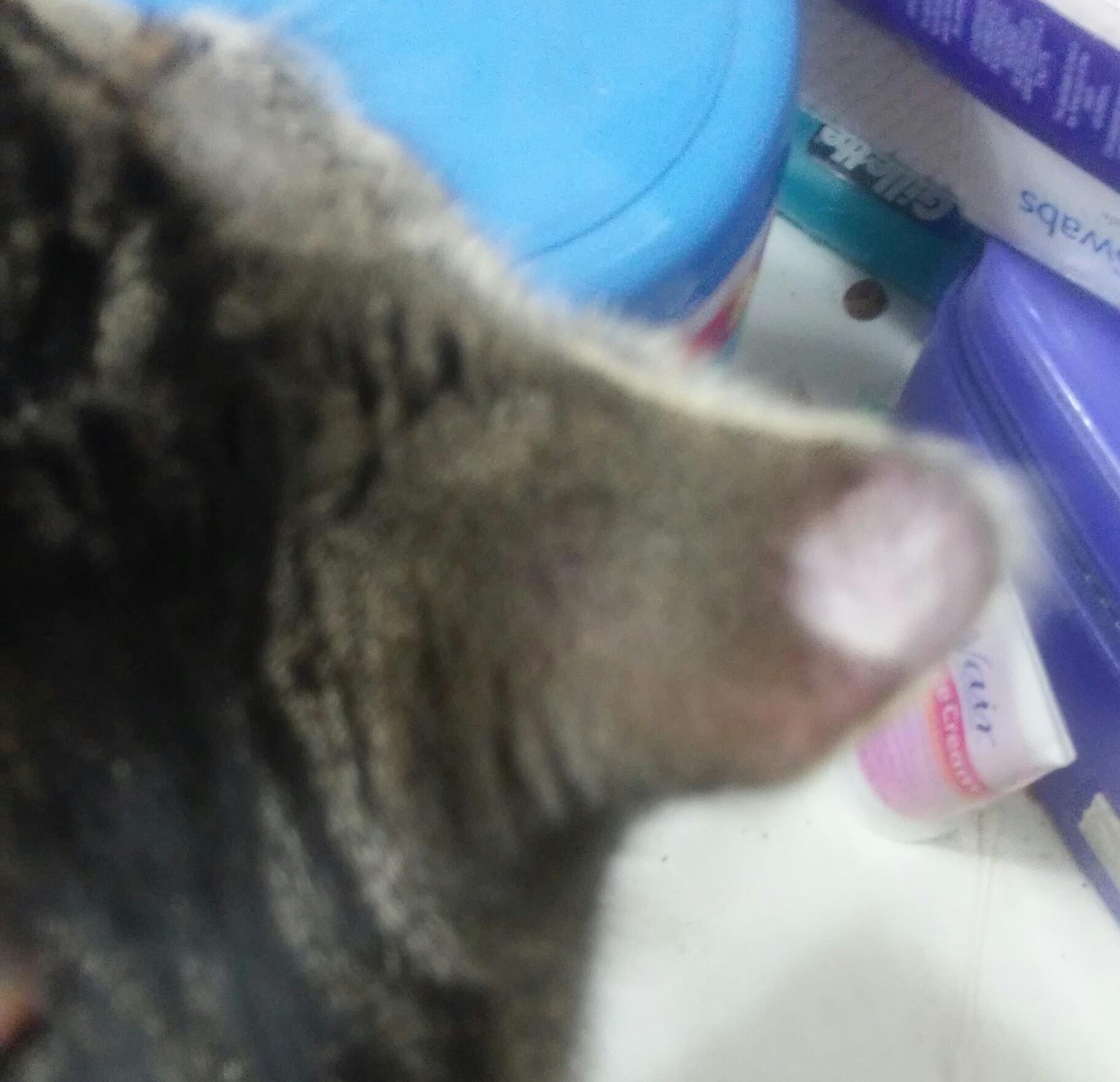 Question details sensitive content