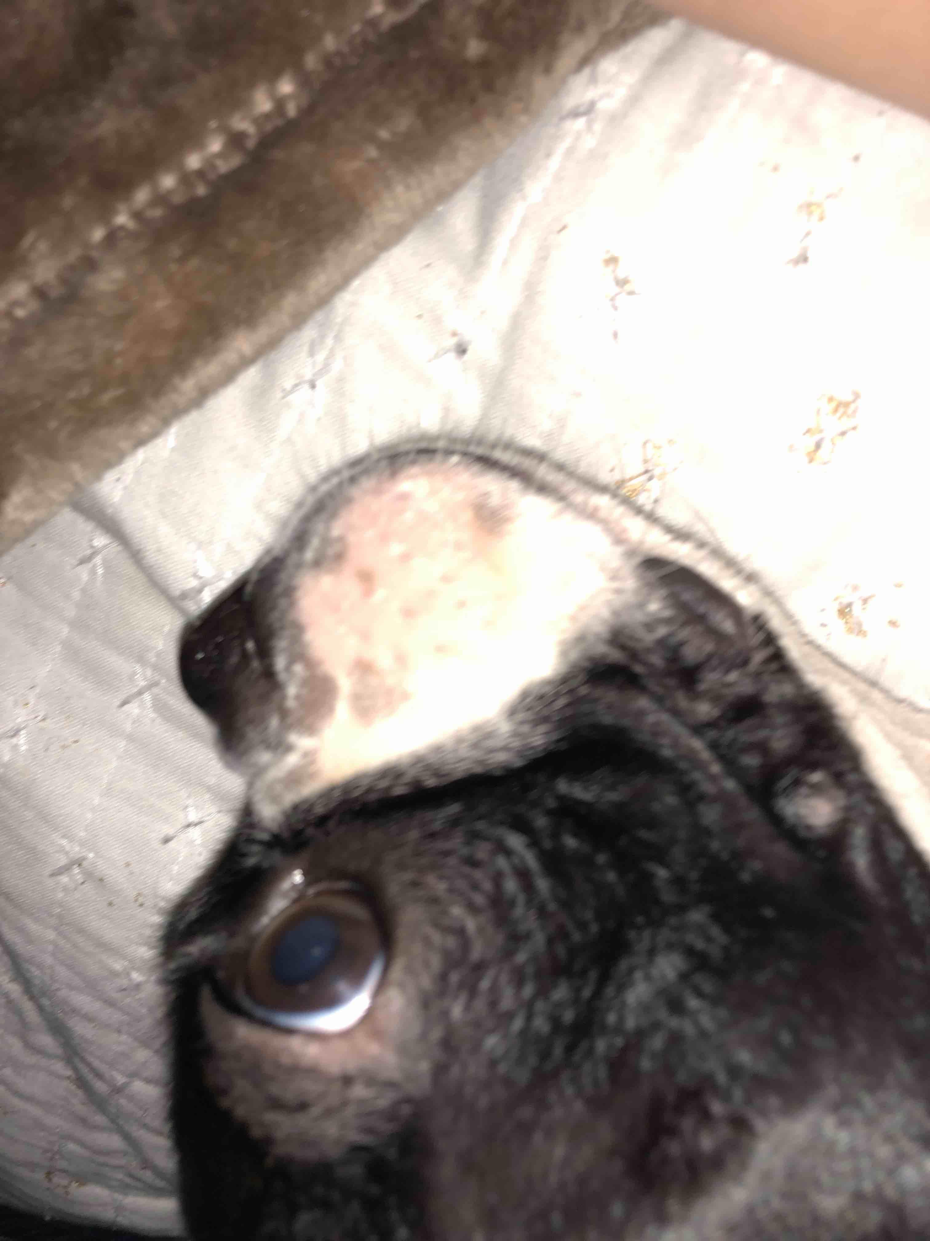 Question details sensitive content