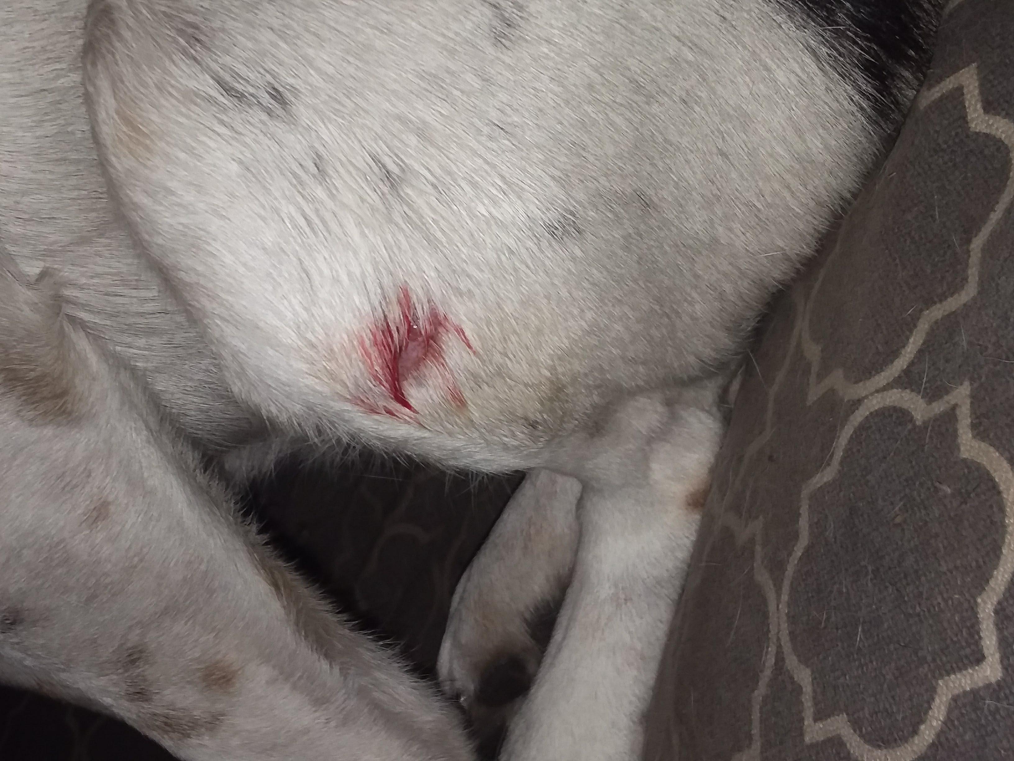 Question details sensitive content