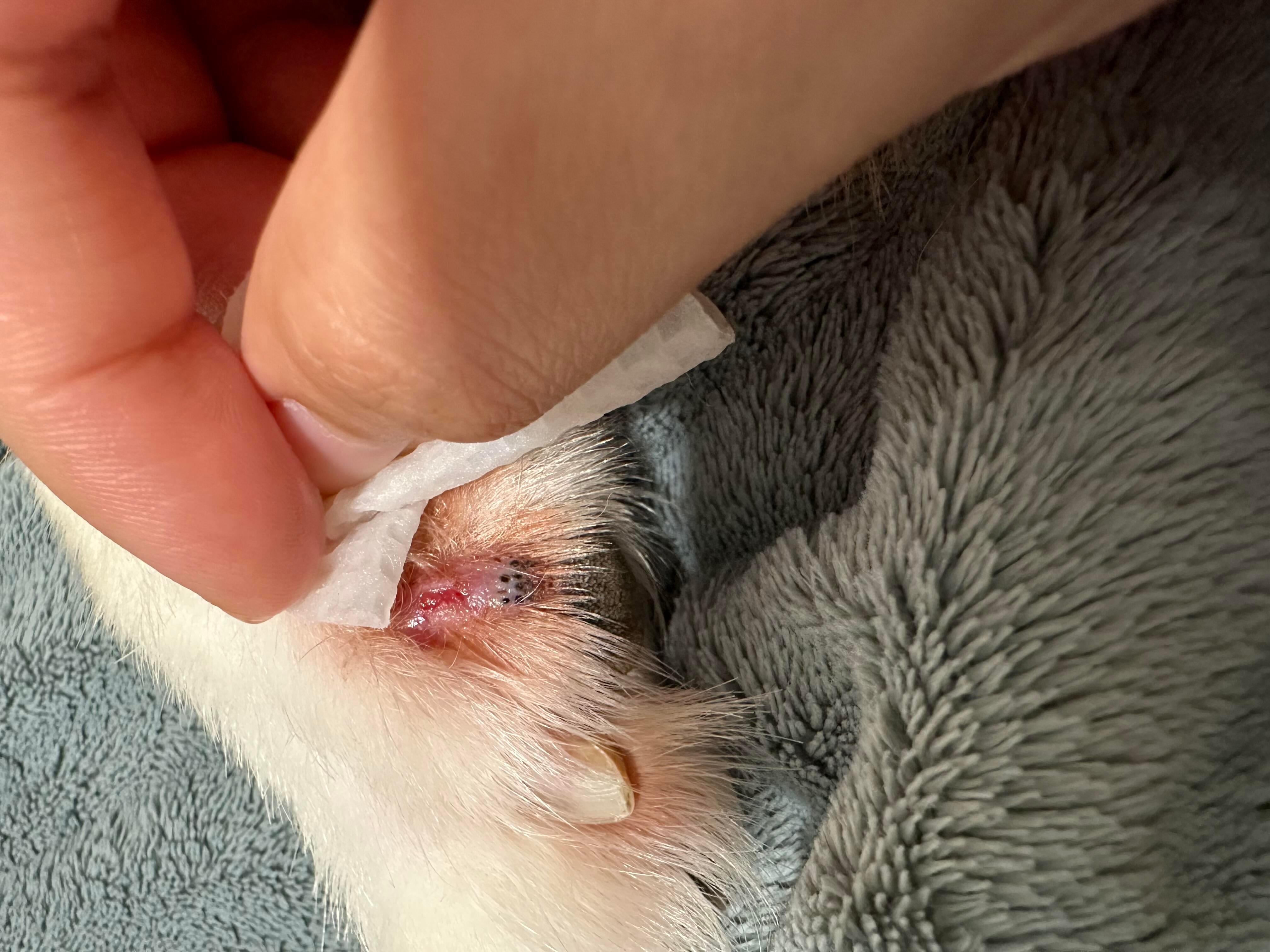 Question details sensitive content