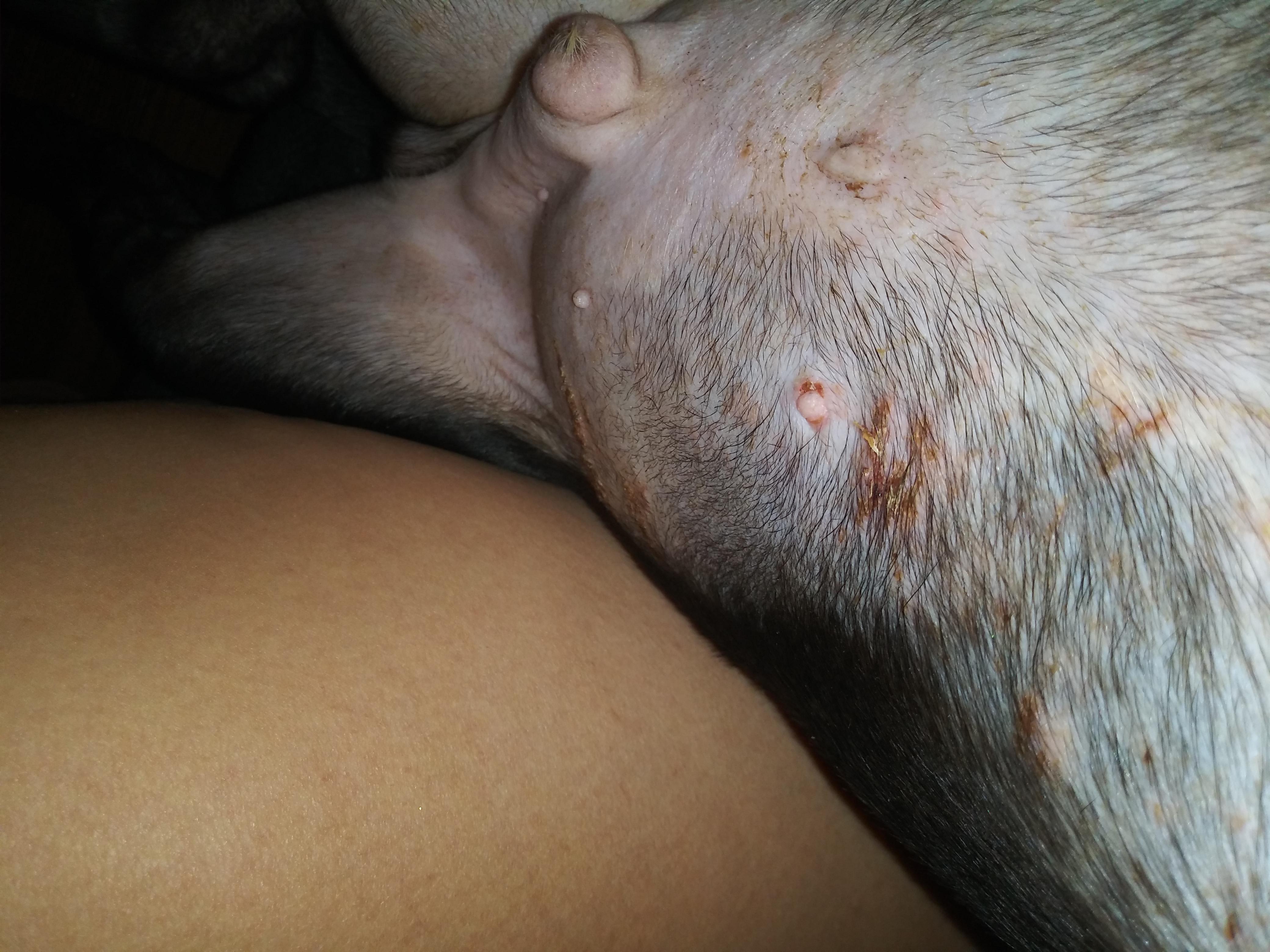 Question details sensitive content