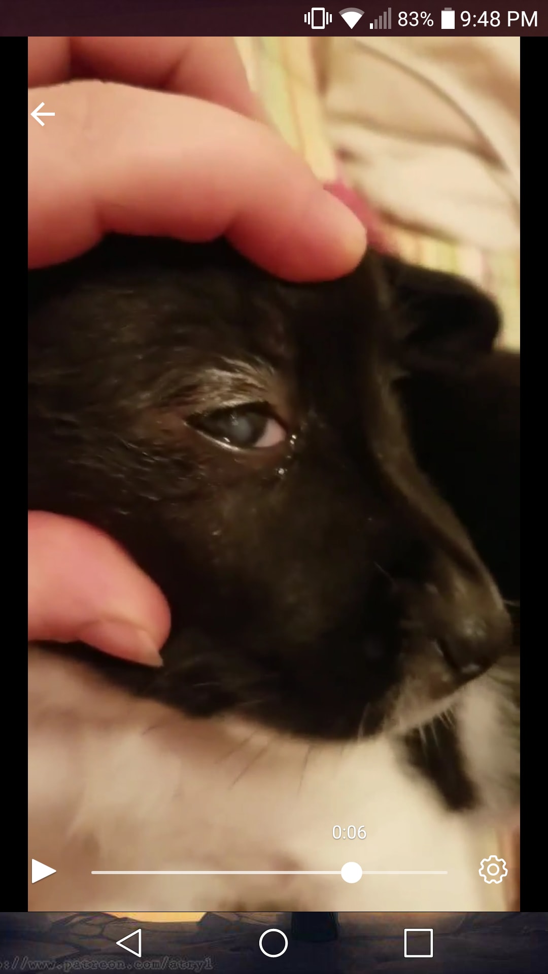 Question details sensitive content