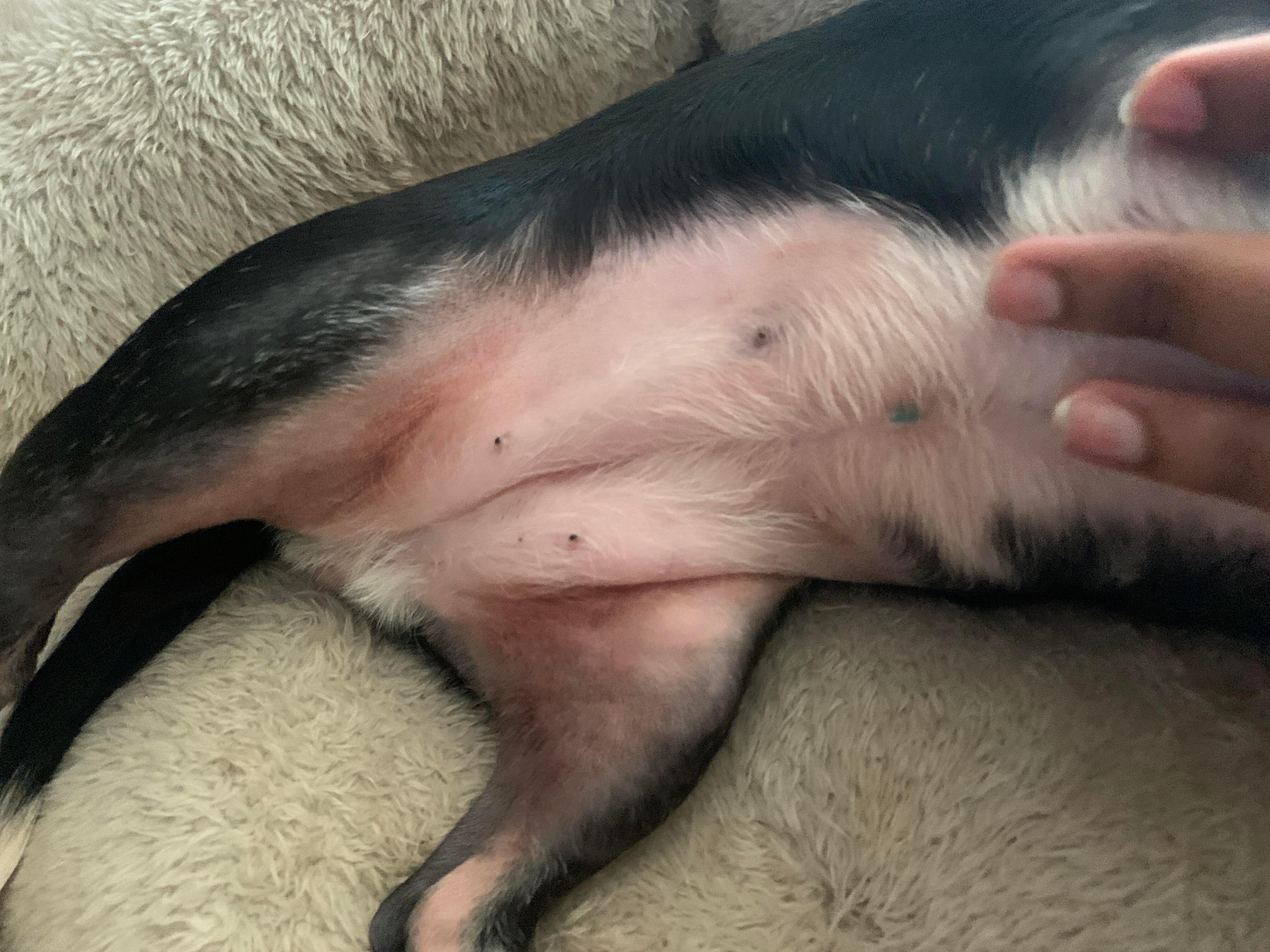 Question details sensitive content