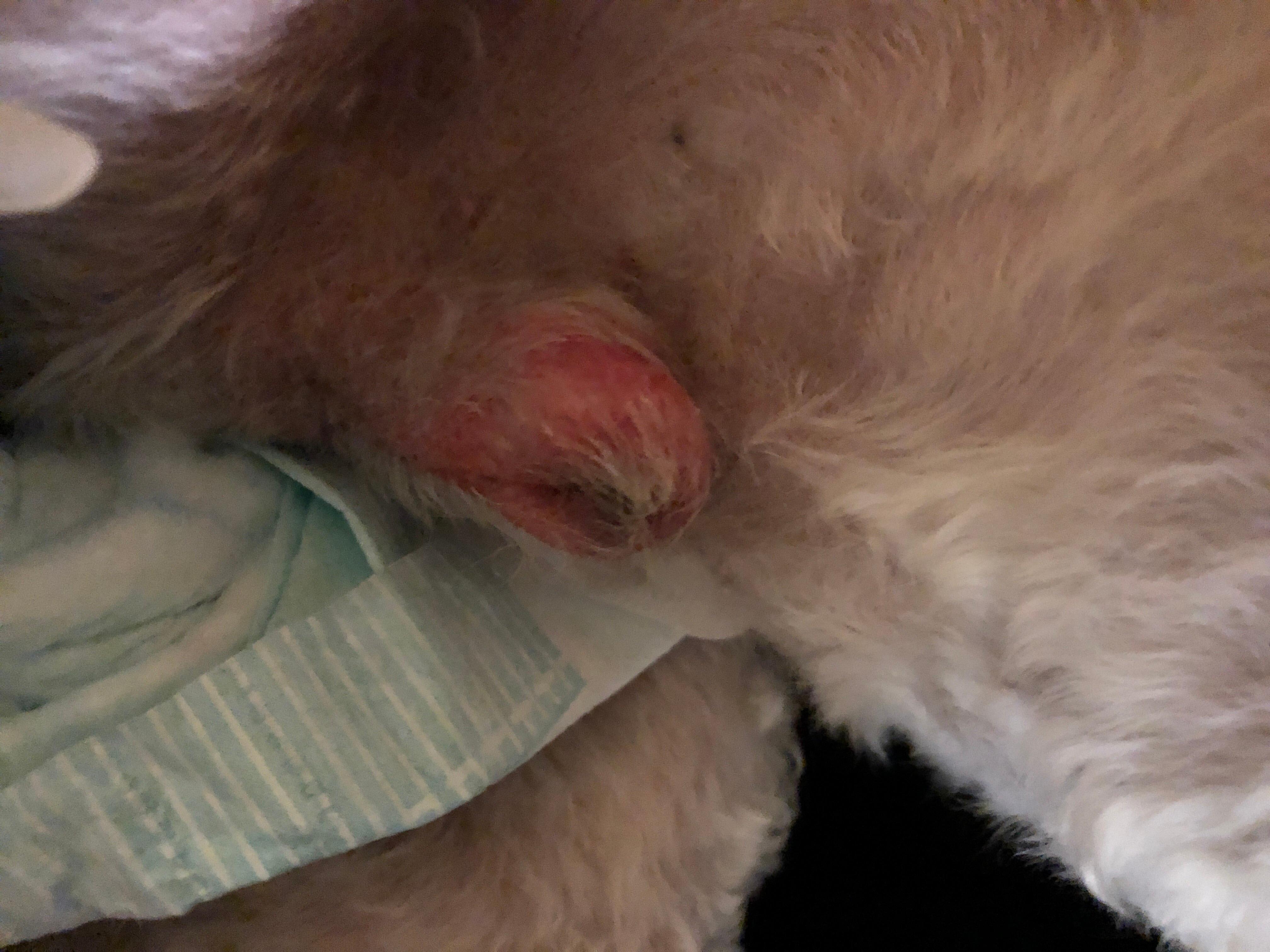 Question details sensitive content