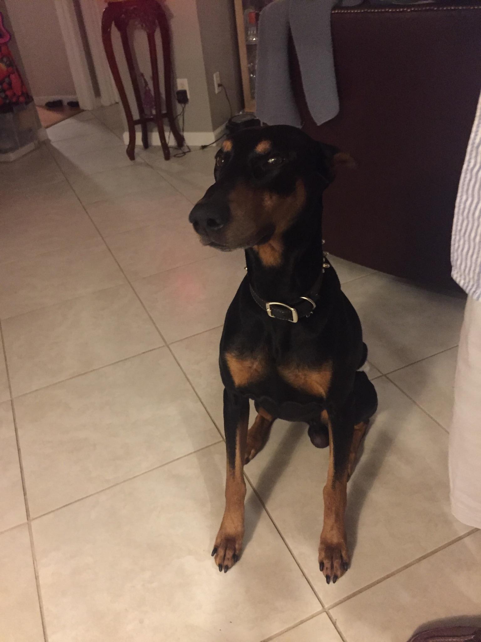 Question details sensitive content