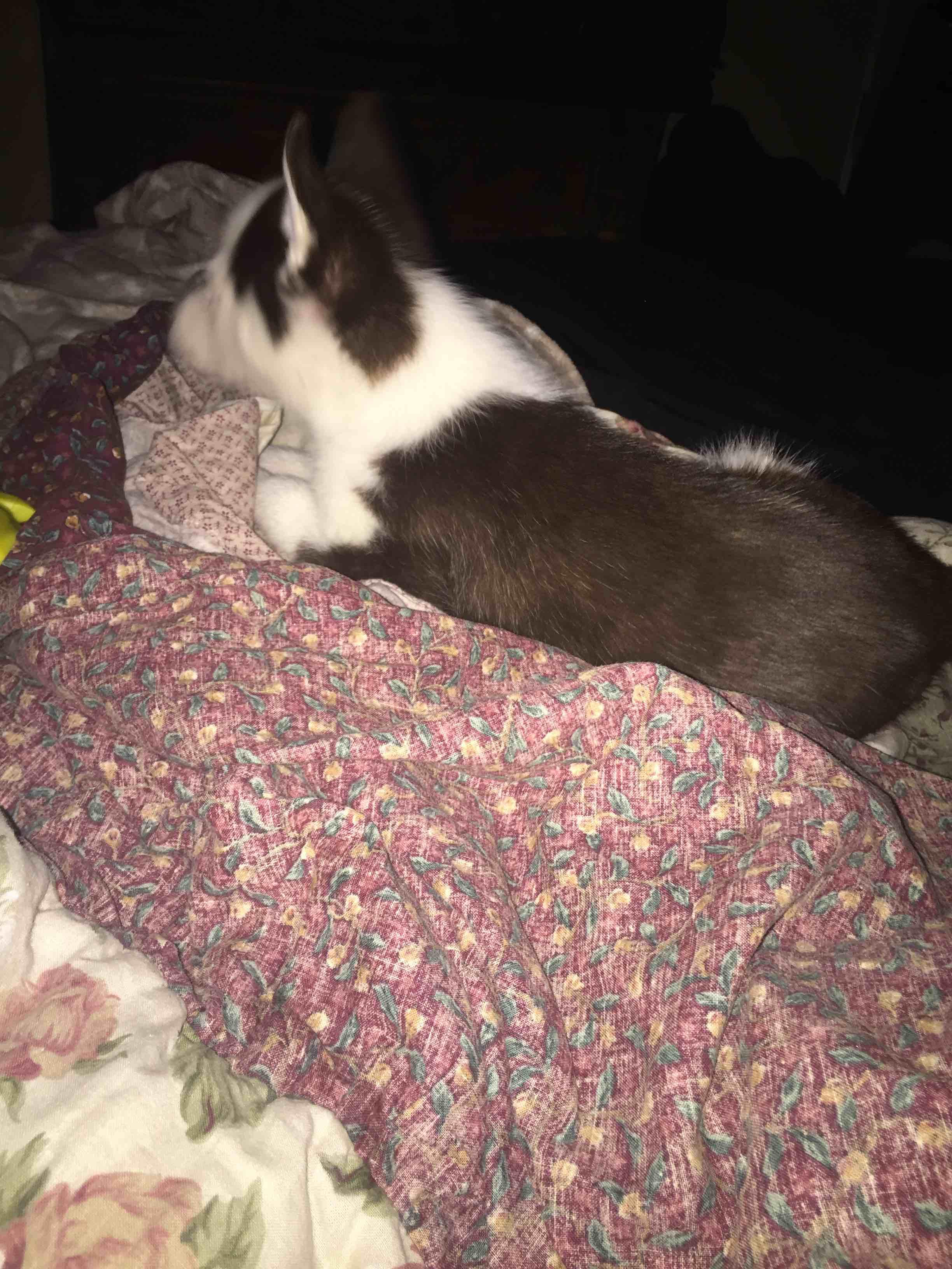 Question details sensitive content