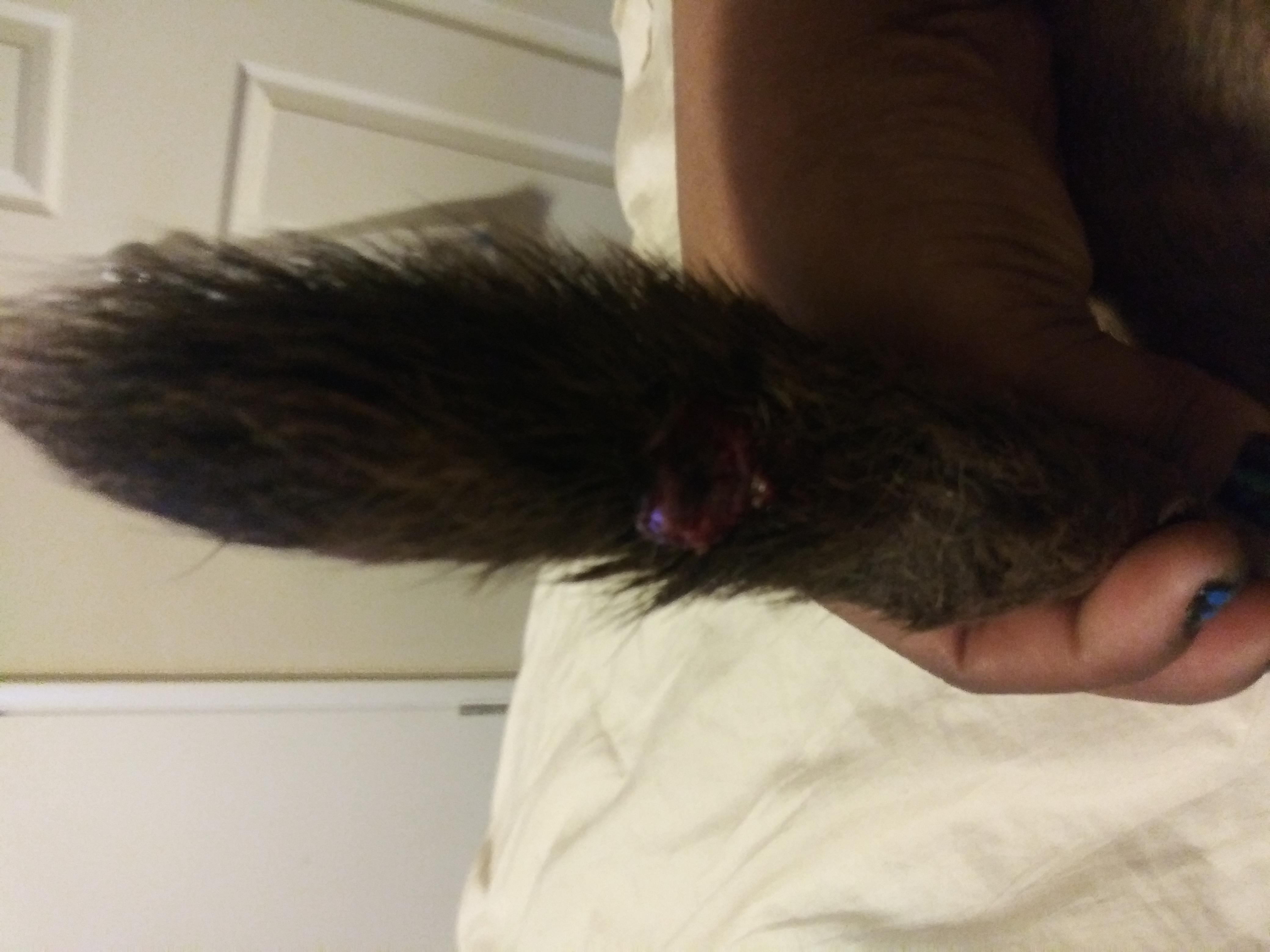 Question details sensitive content