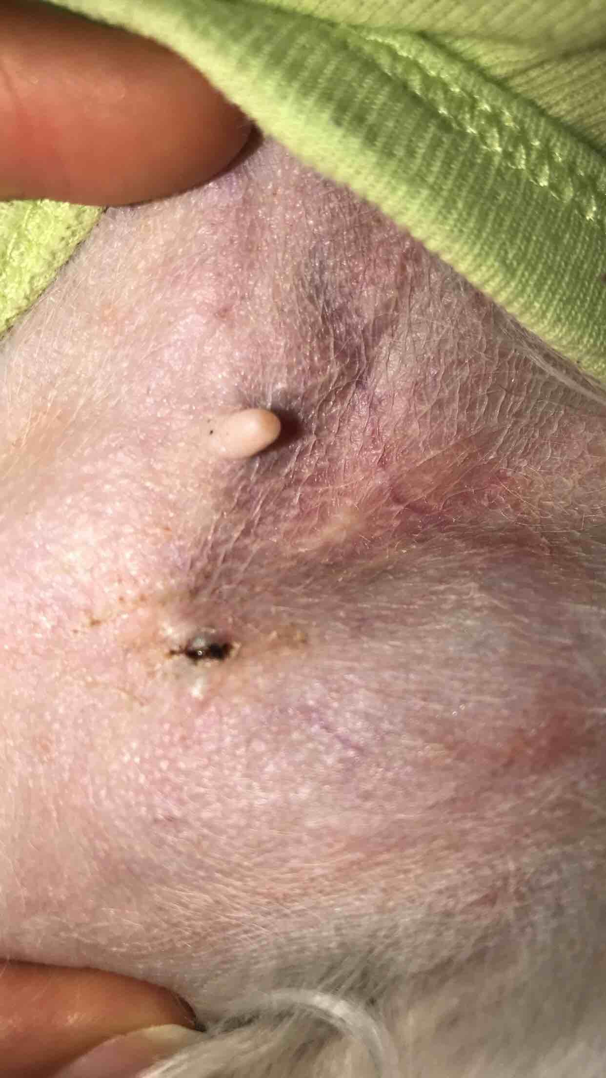 Question details sensitive content