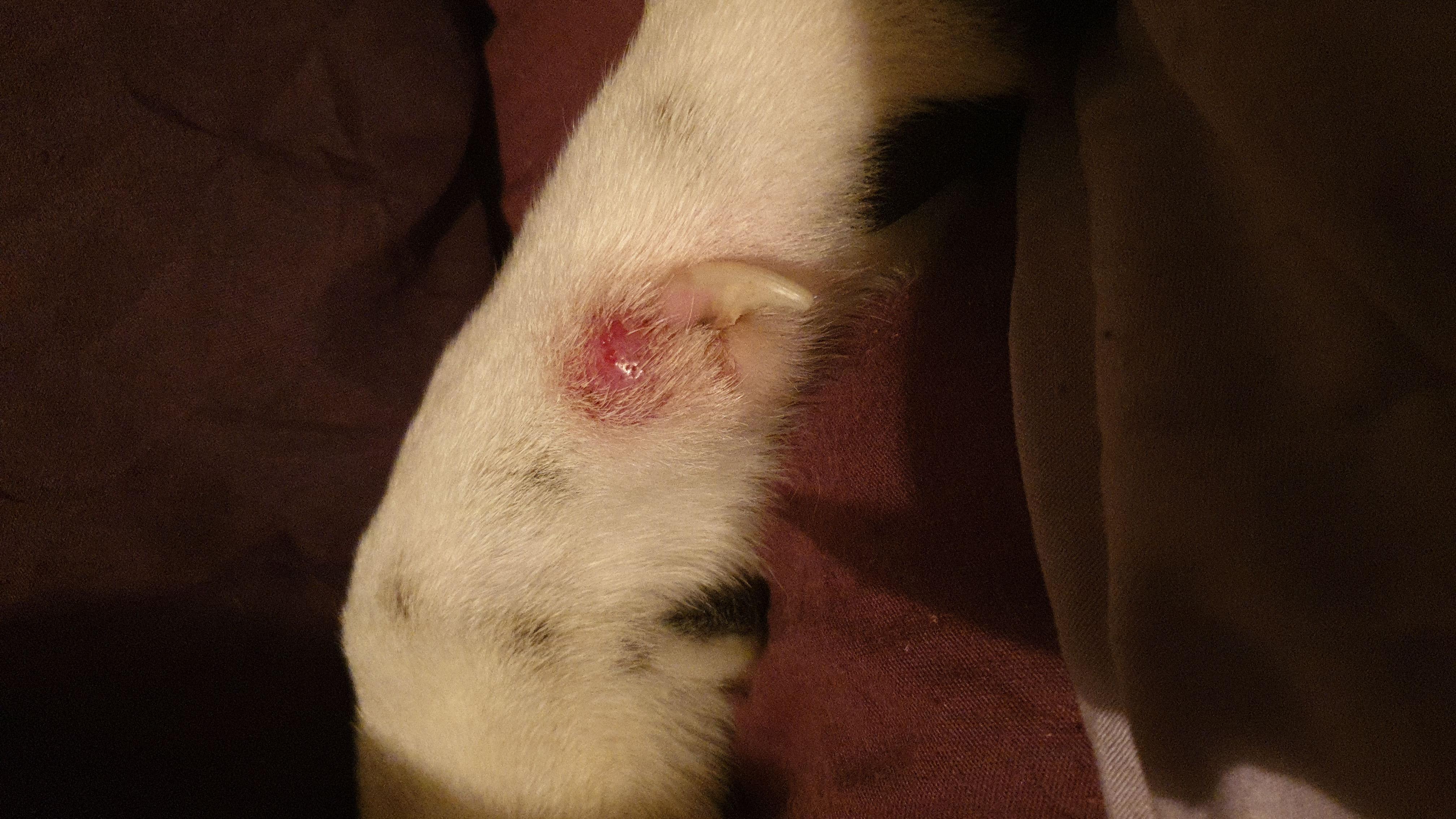 Question details sensitive content