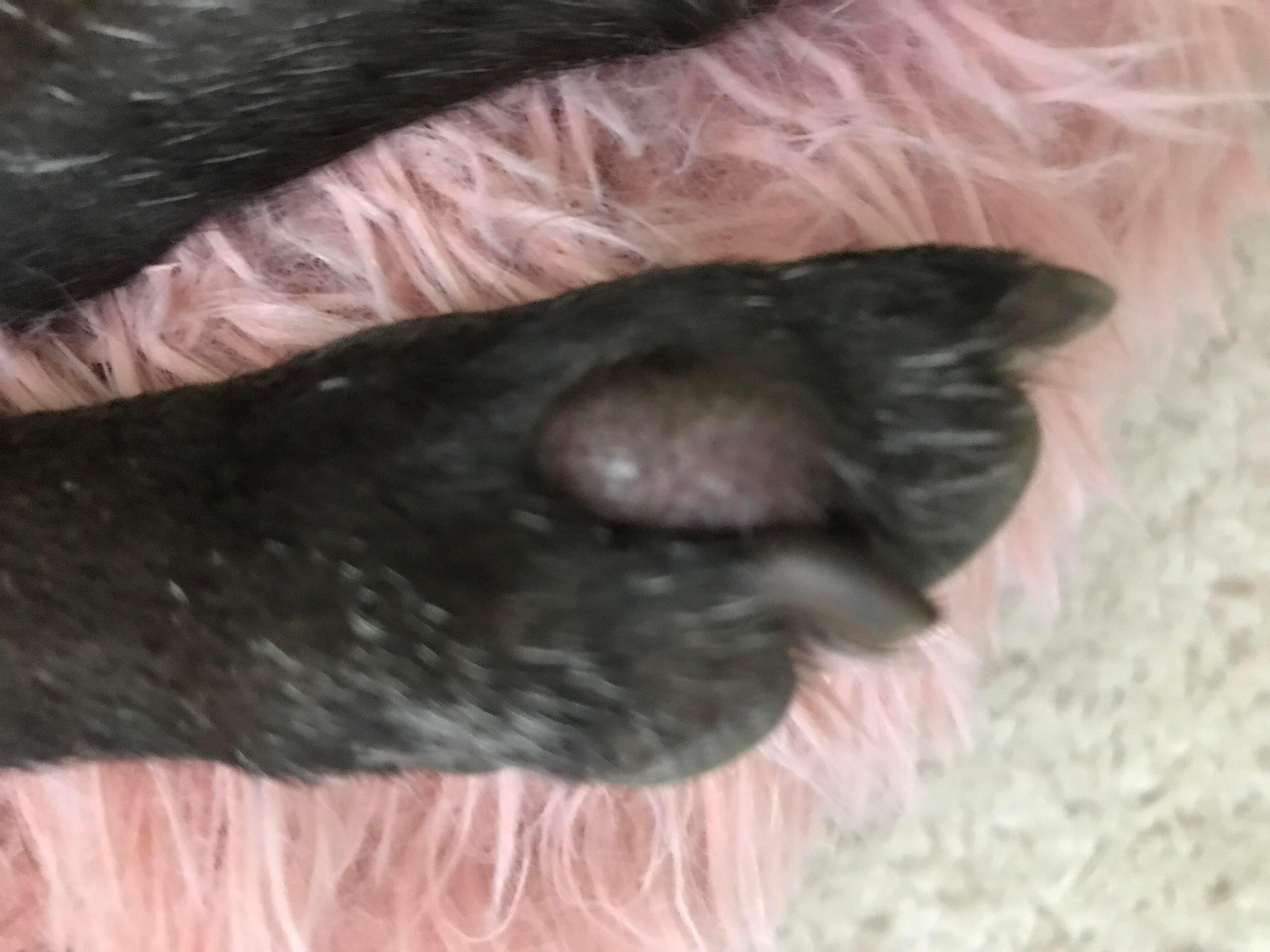 Question details sensitive content