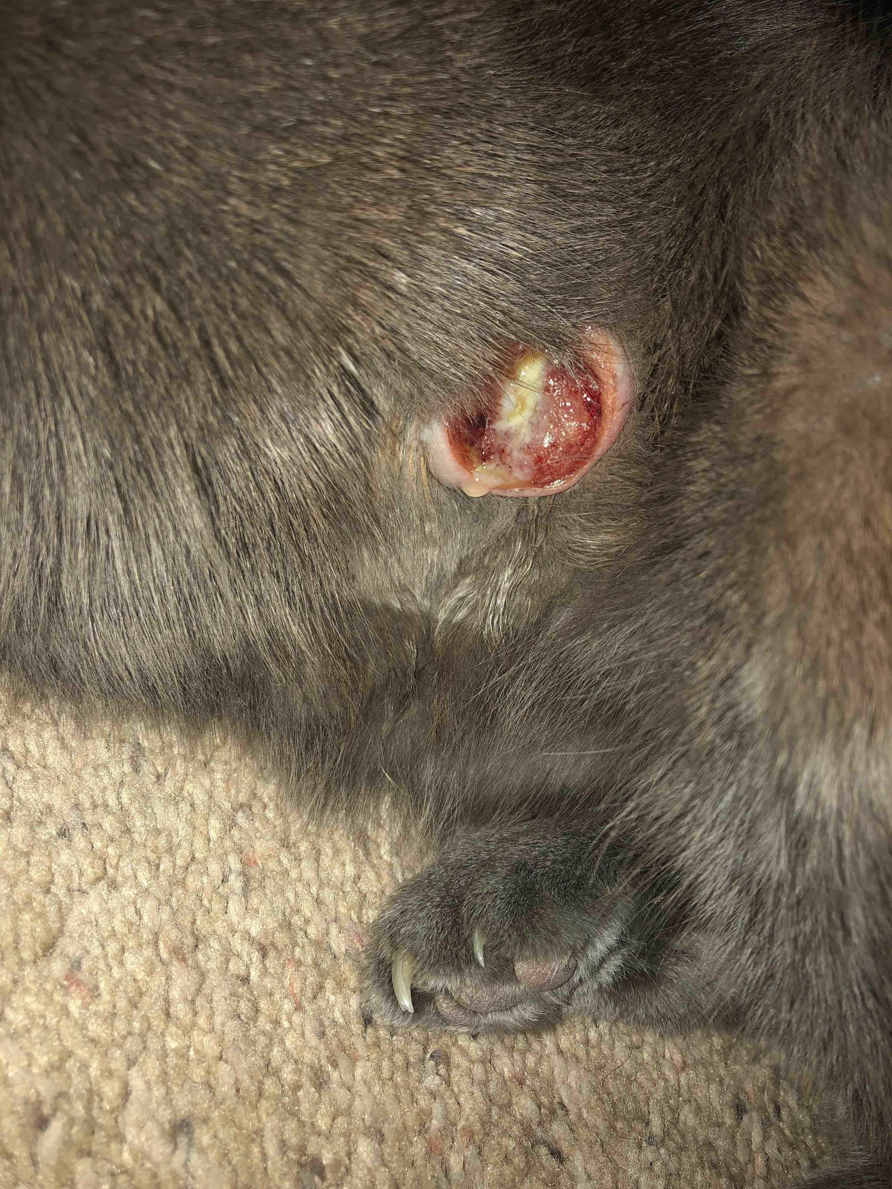 Question details sensitive content