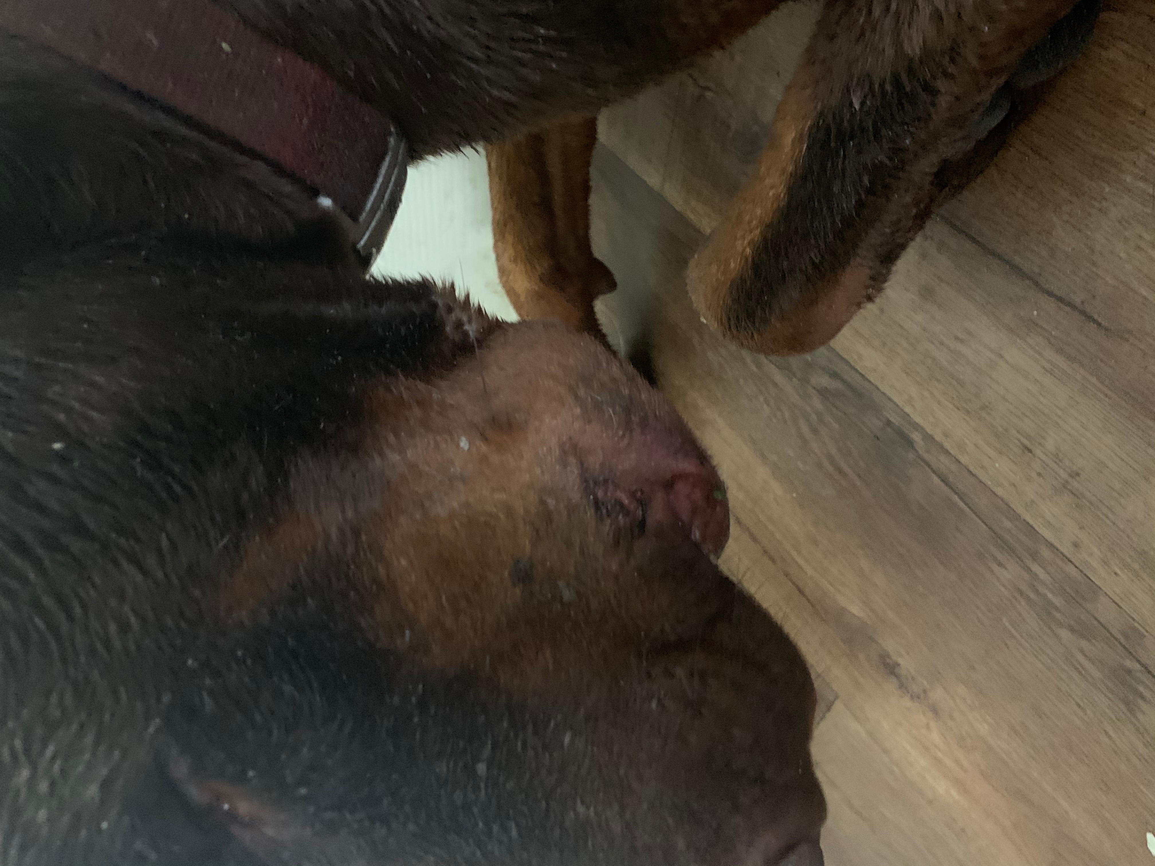 Question details sensitive content