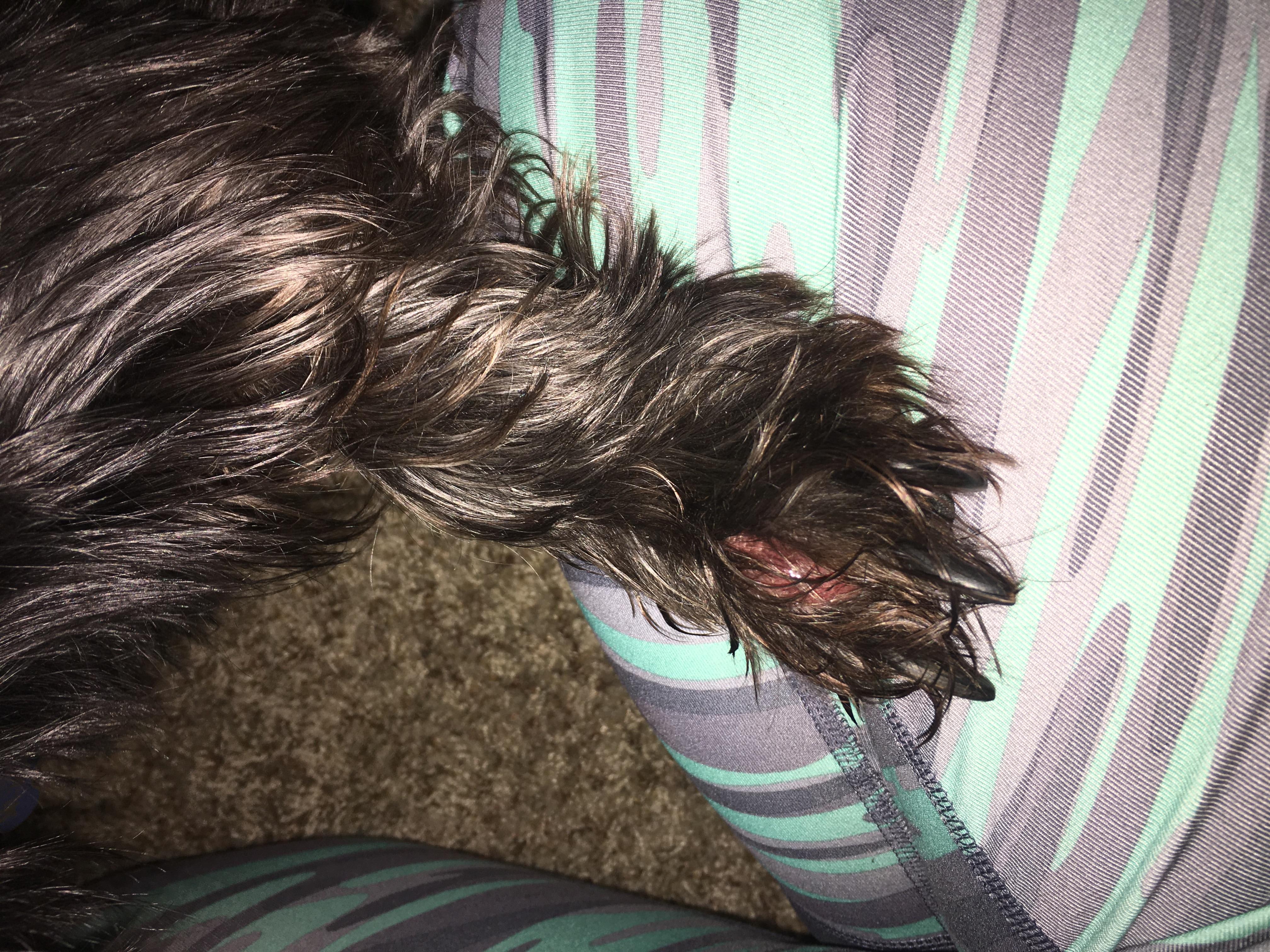 Question details sensitive content