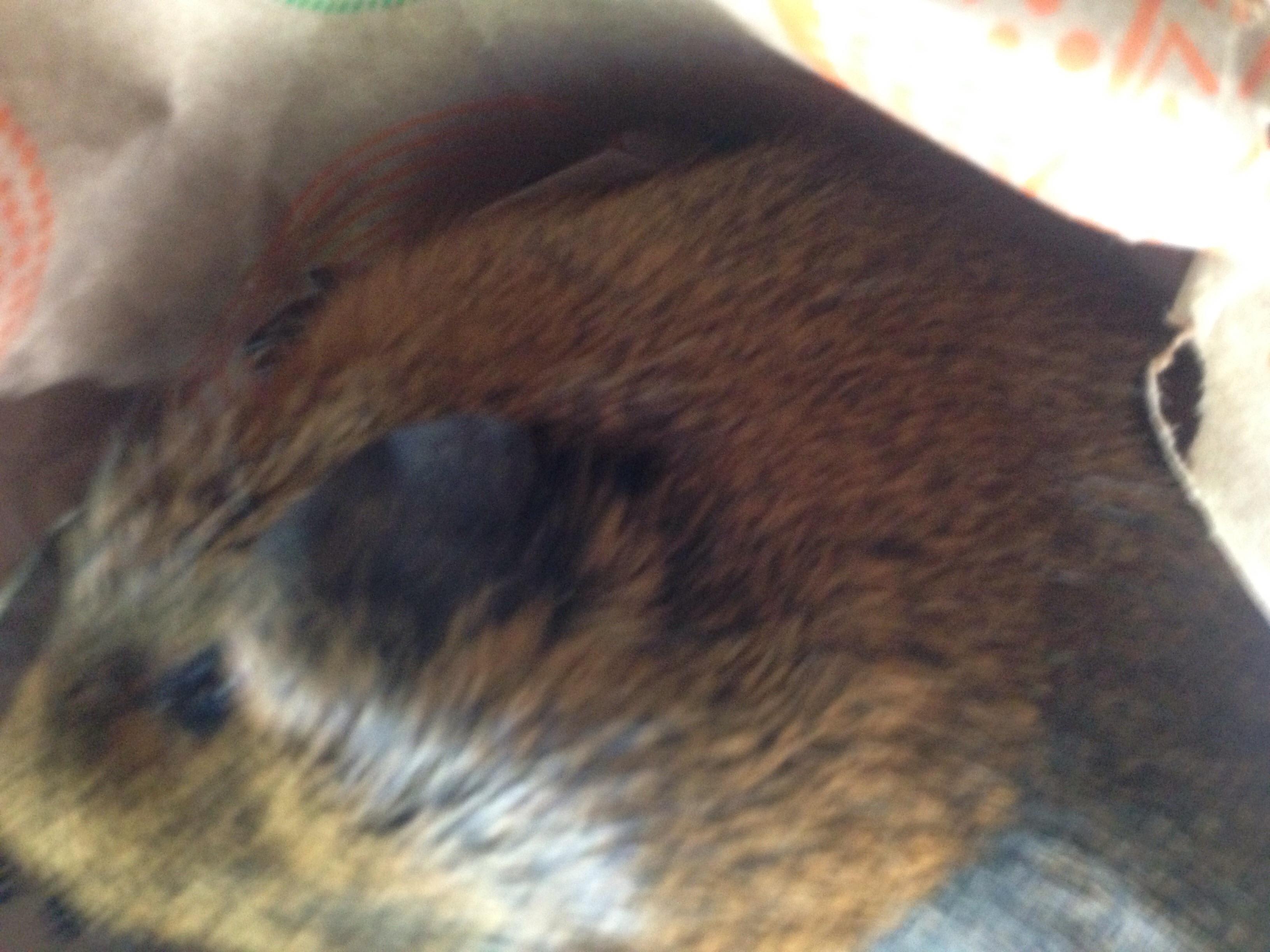 Question details sensitive content