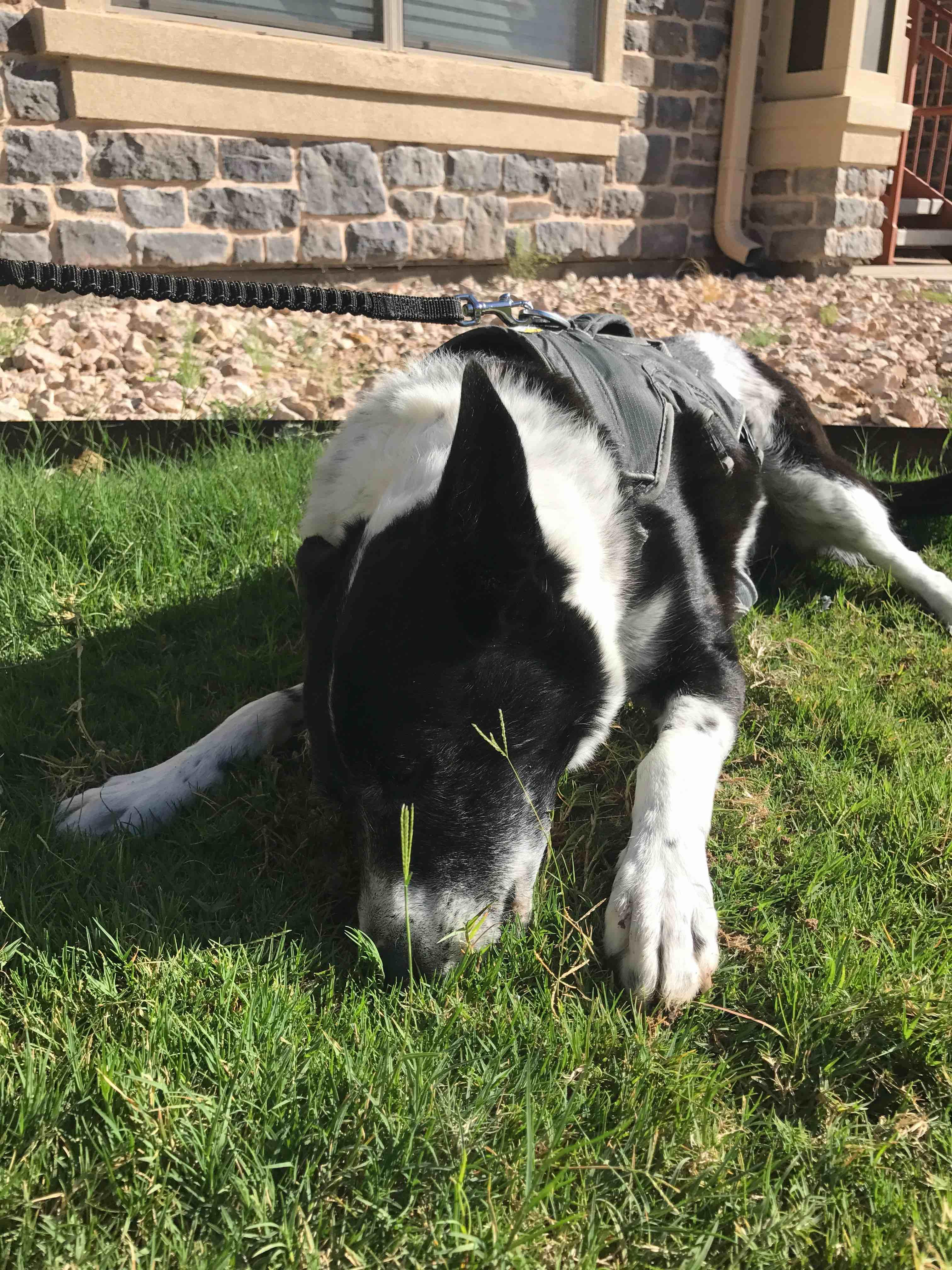 Question details sensitive content