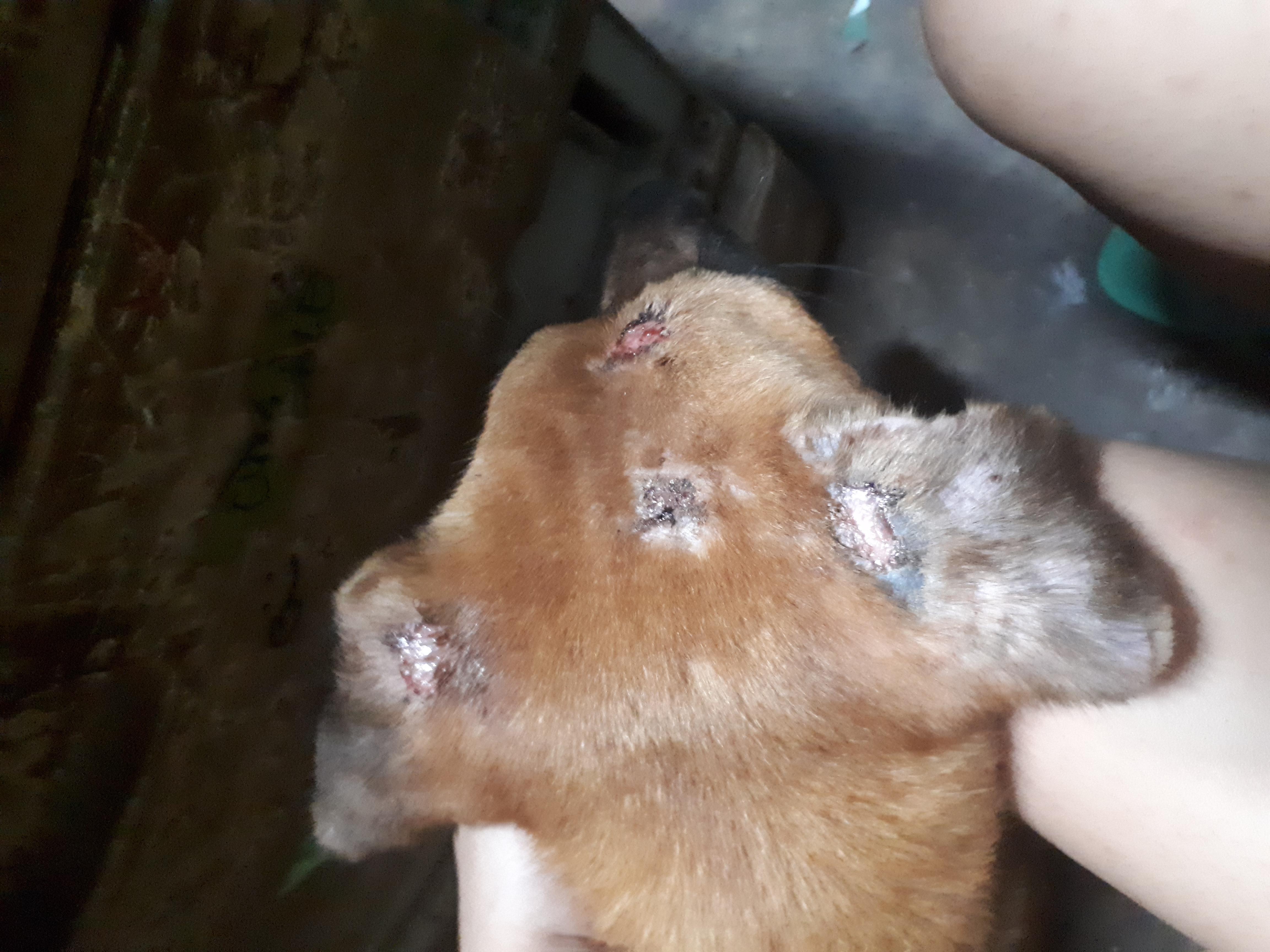 Question details sensitive content