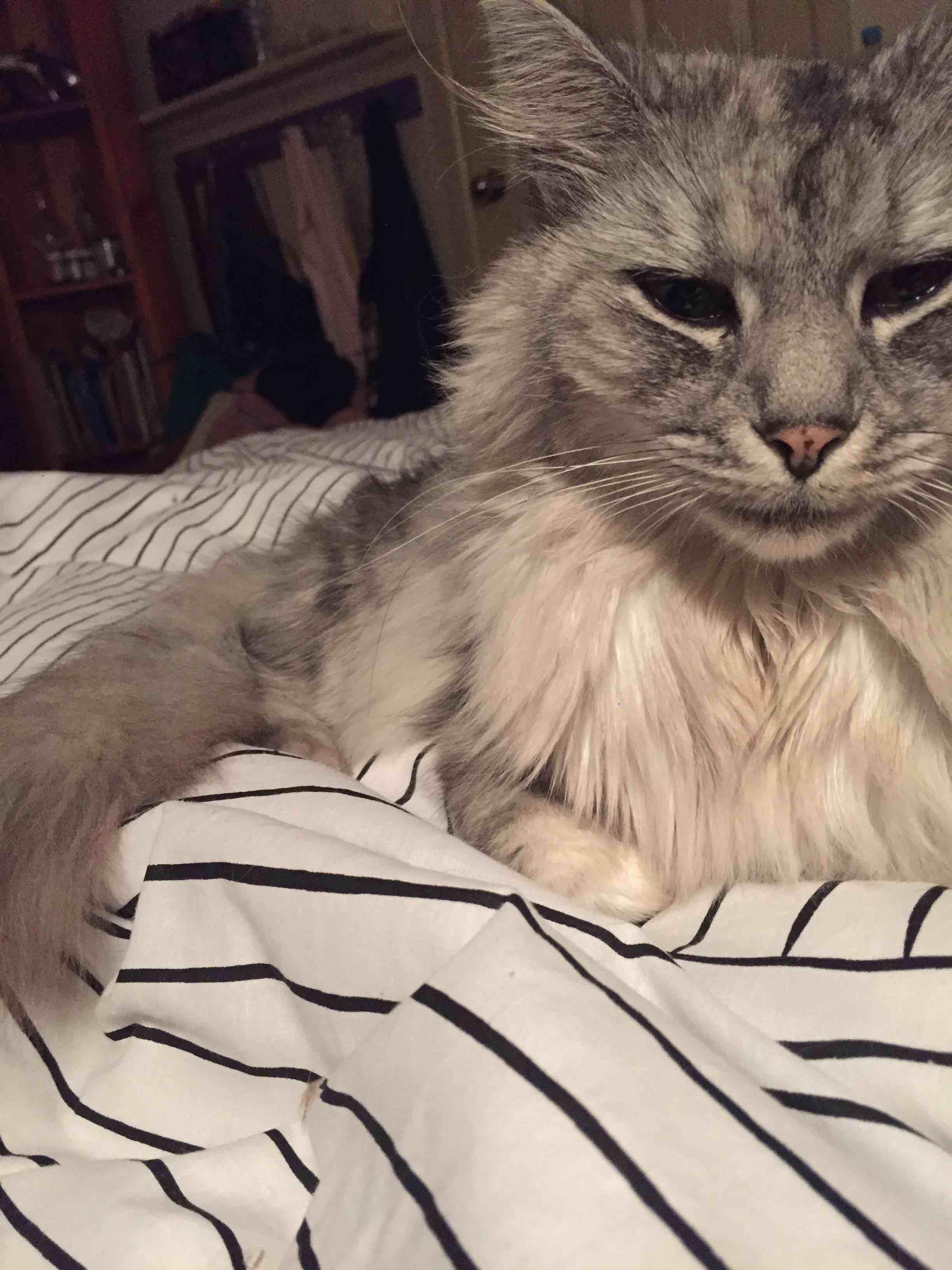 Question details sensitive content