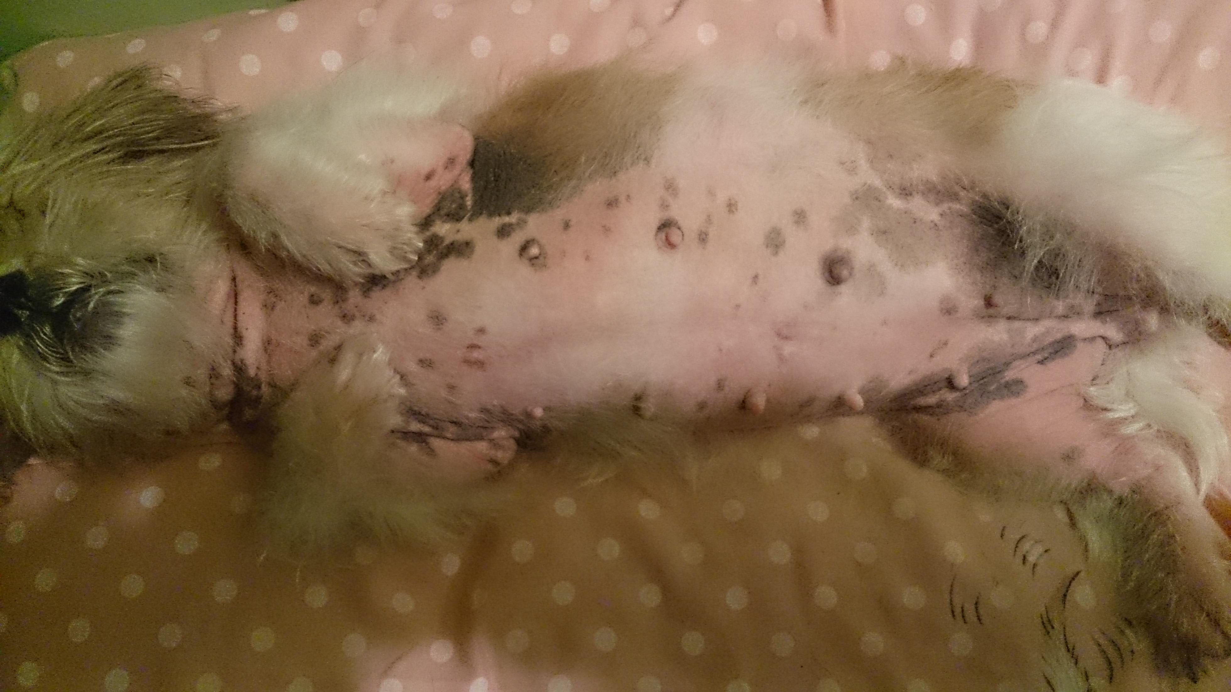 Question details sensitive content