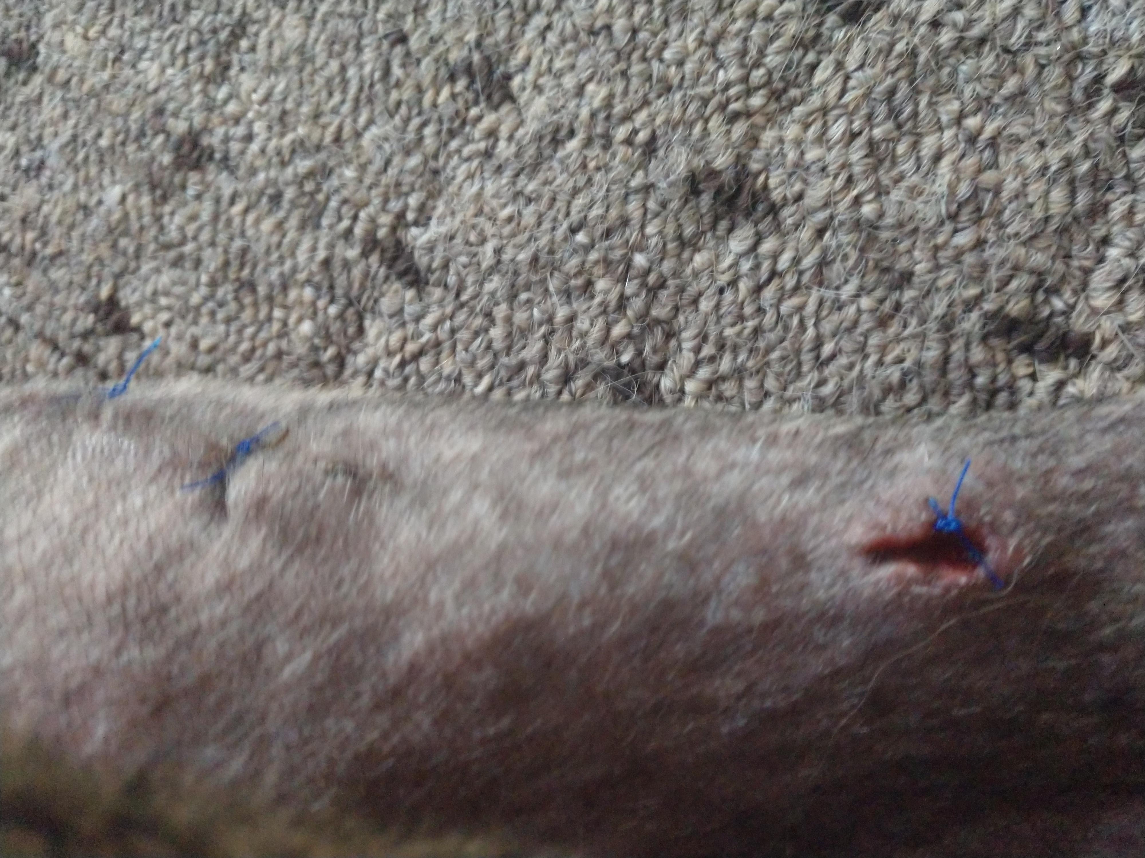 Question details sensitive content