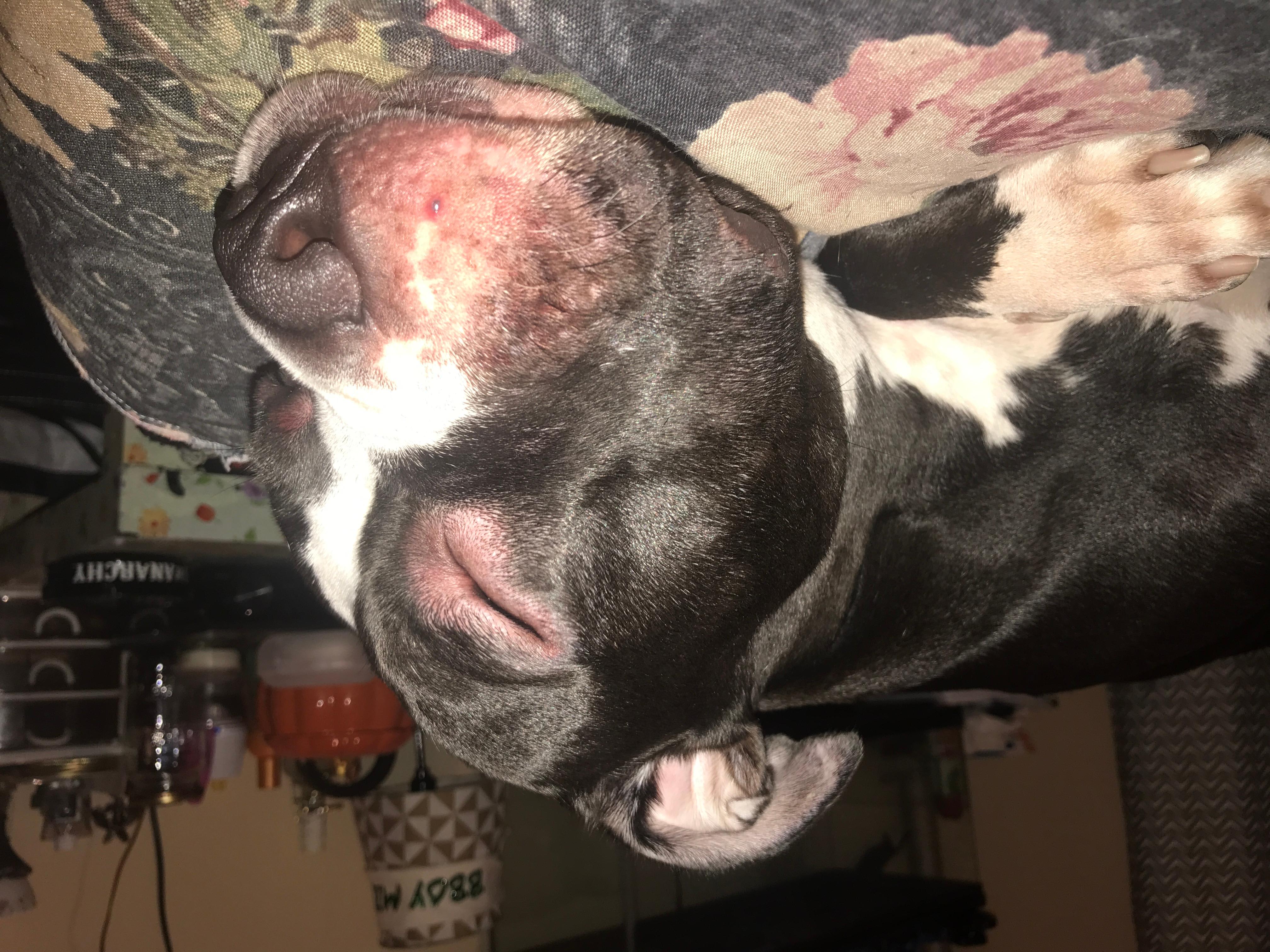 Question details sensitive content