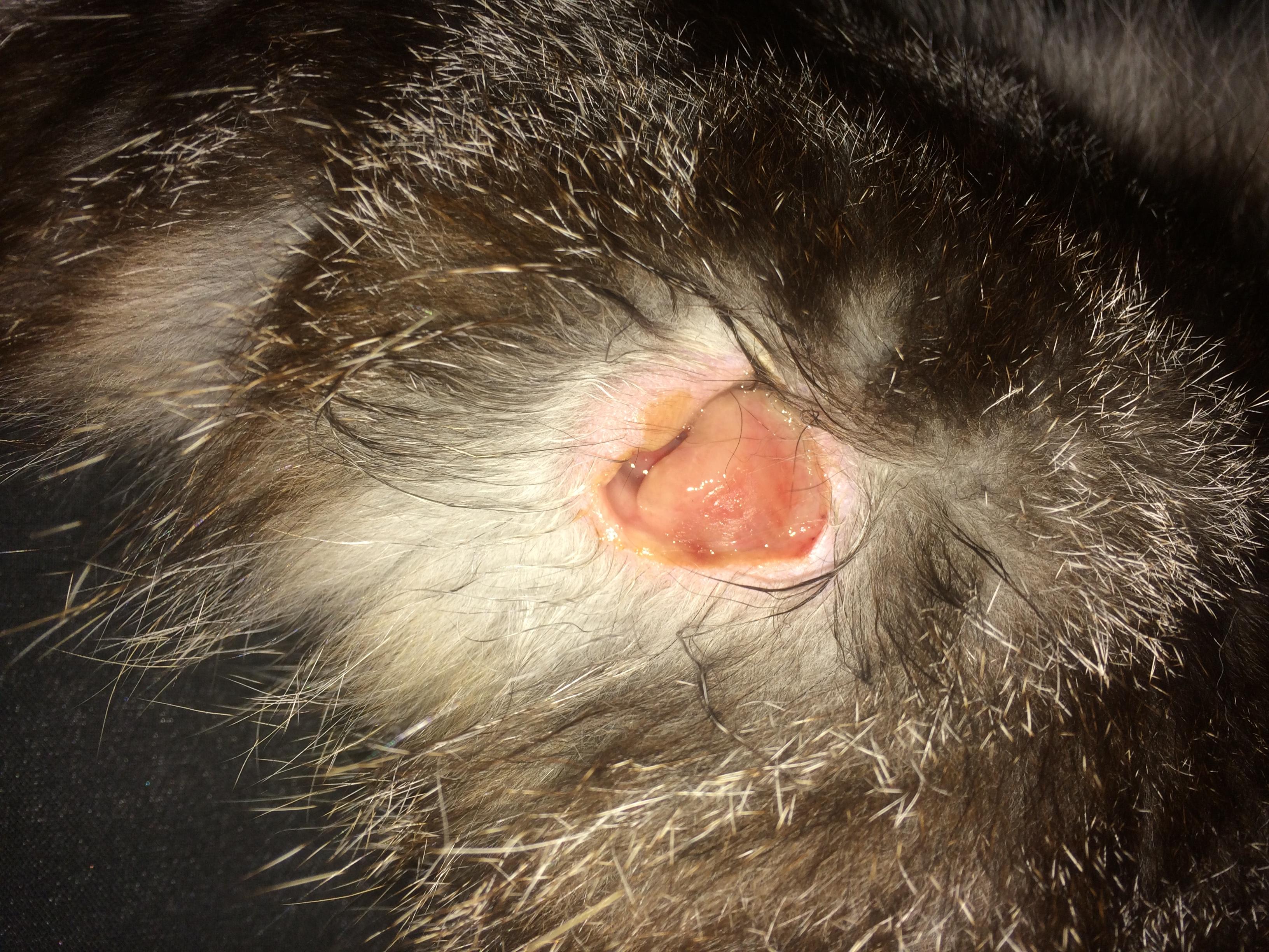 Question details sensitive content