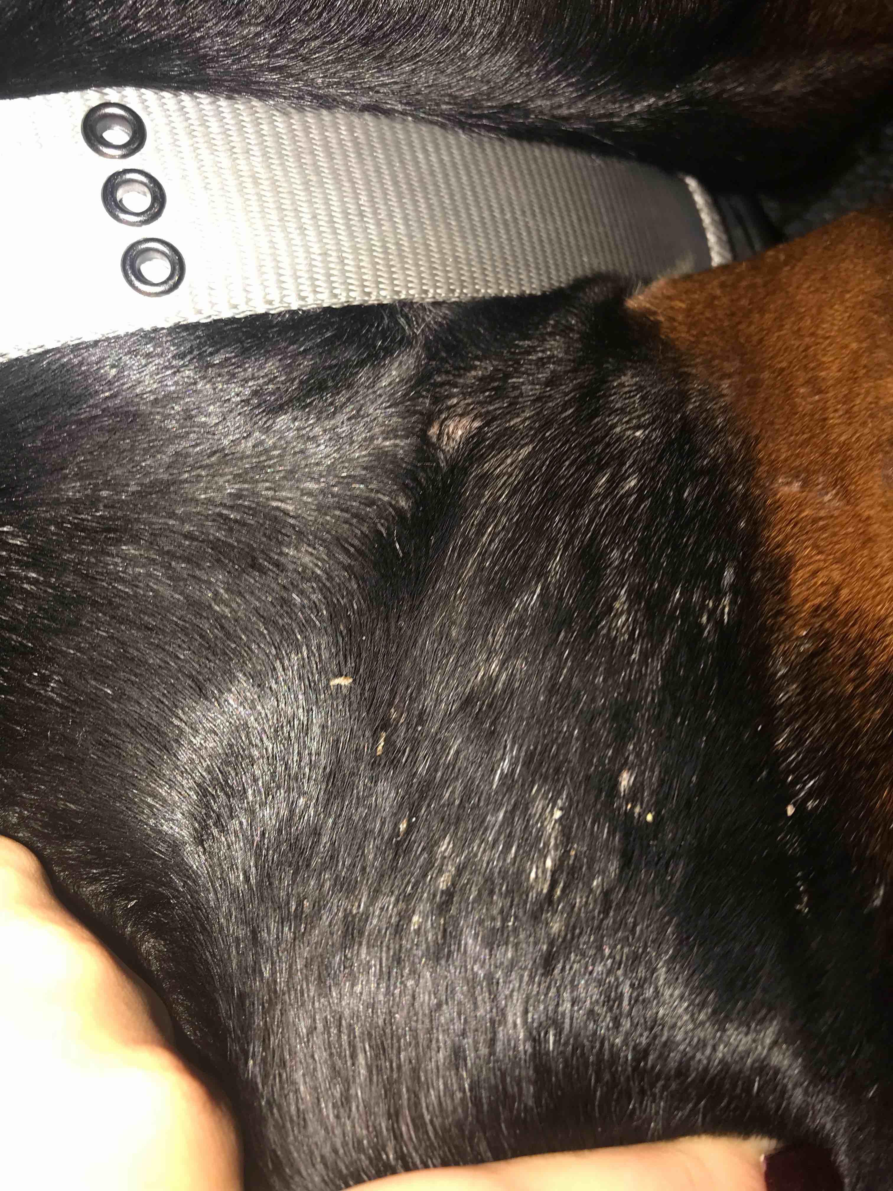 Question details sensitive content