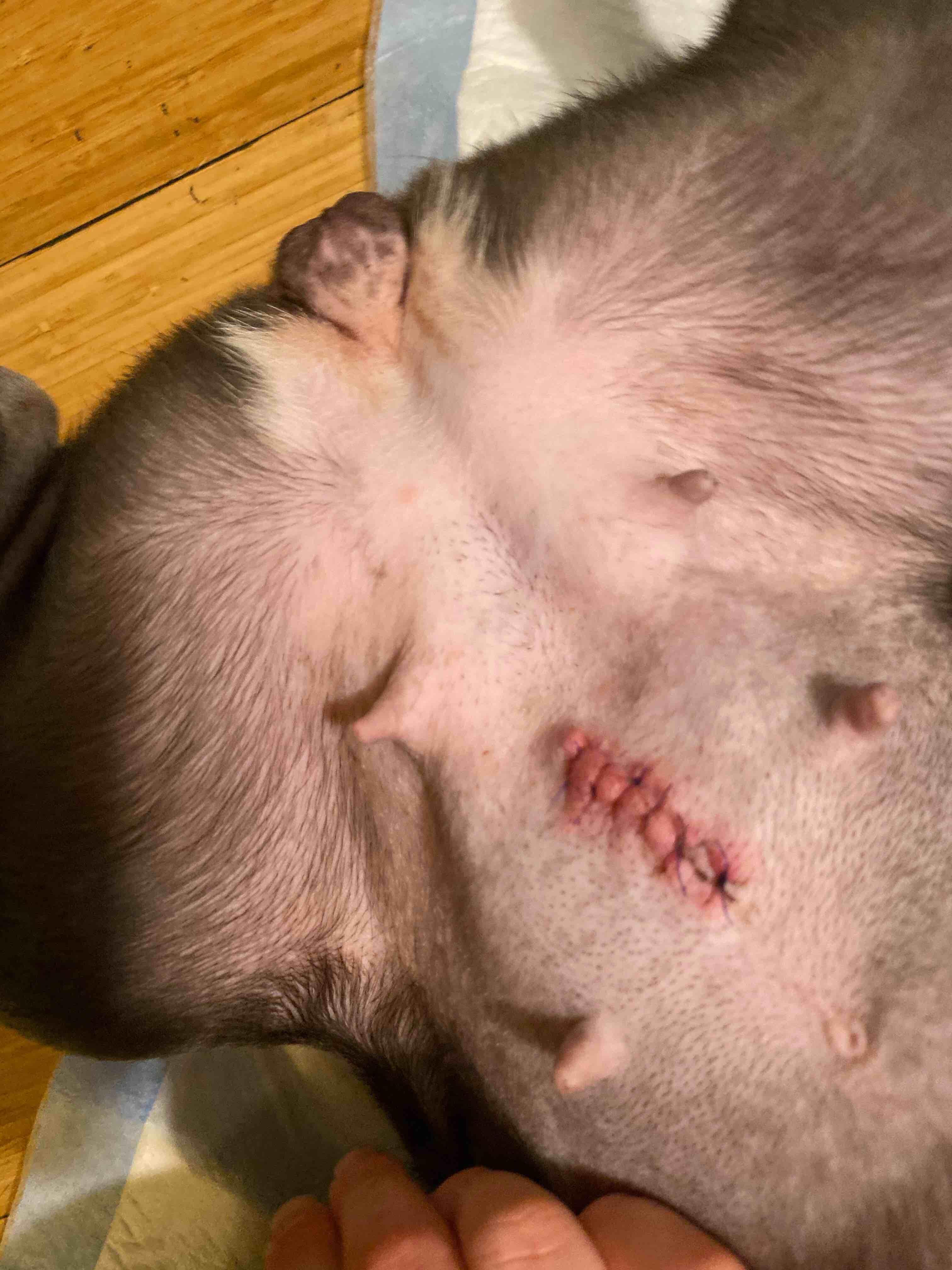 Question details sensitive content