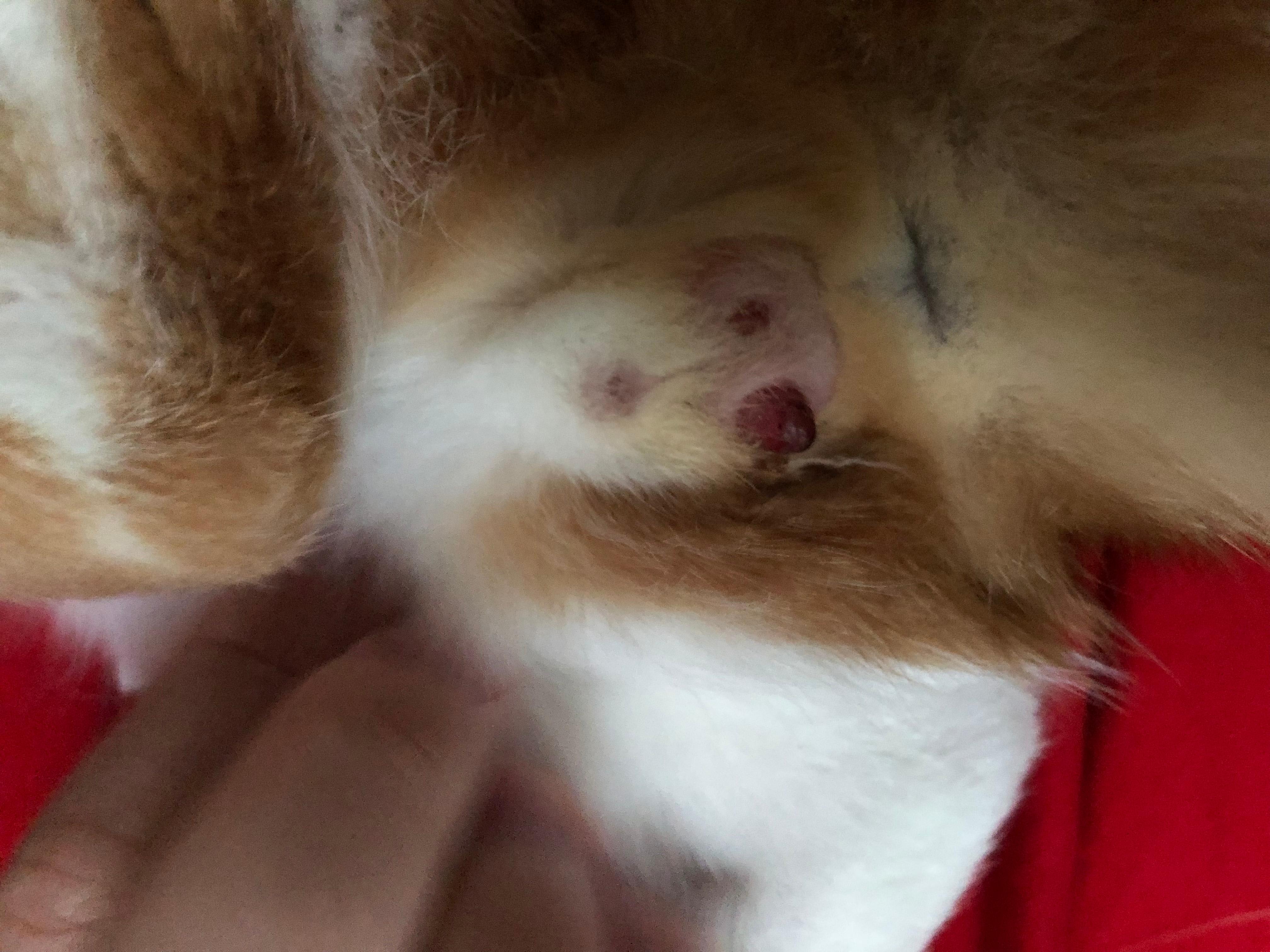 Question details sensitive content