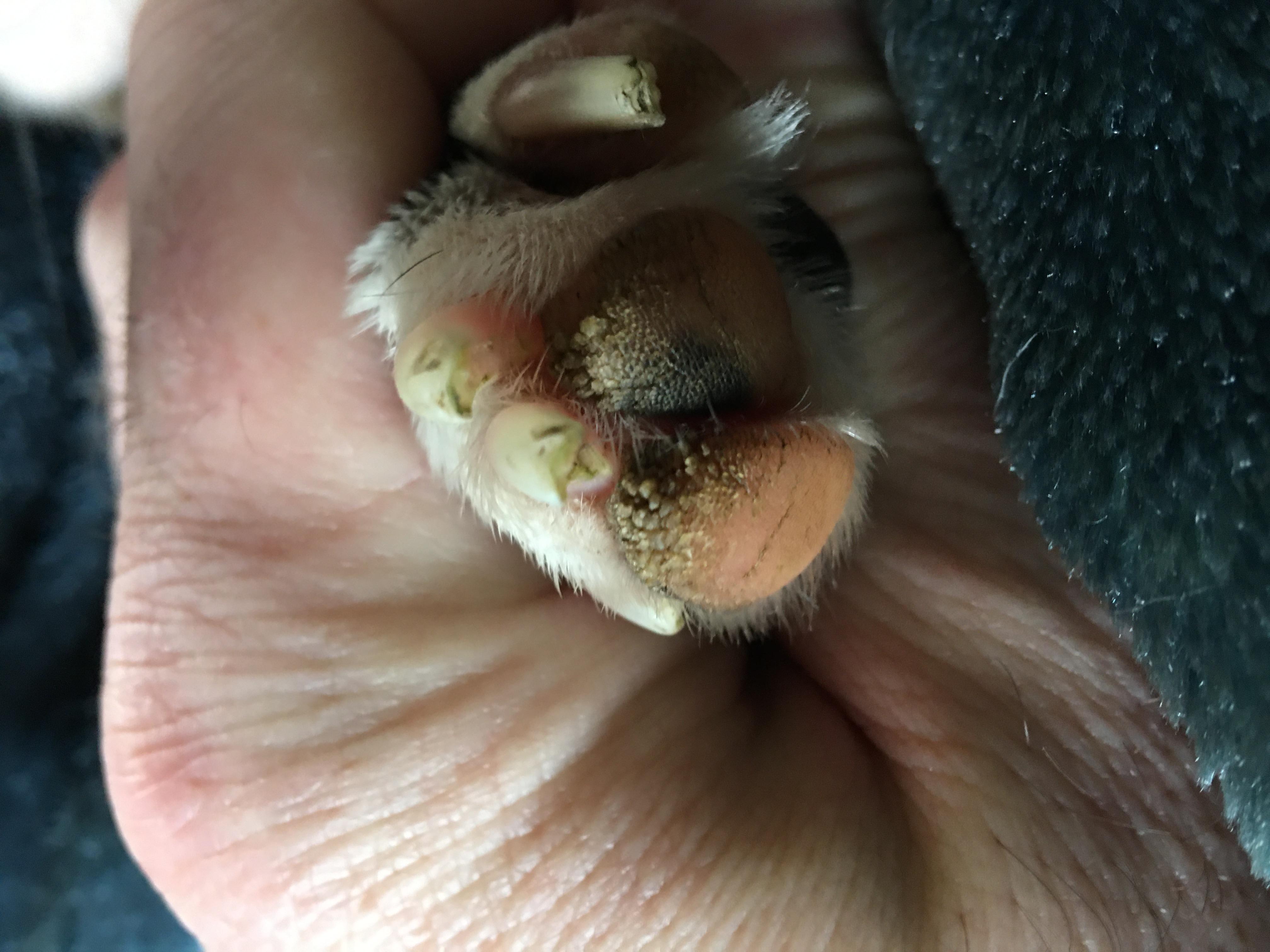 Question details sensitive content