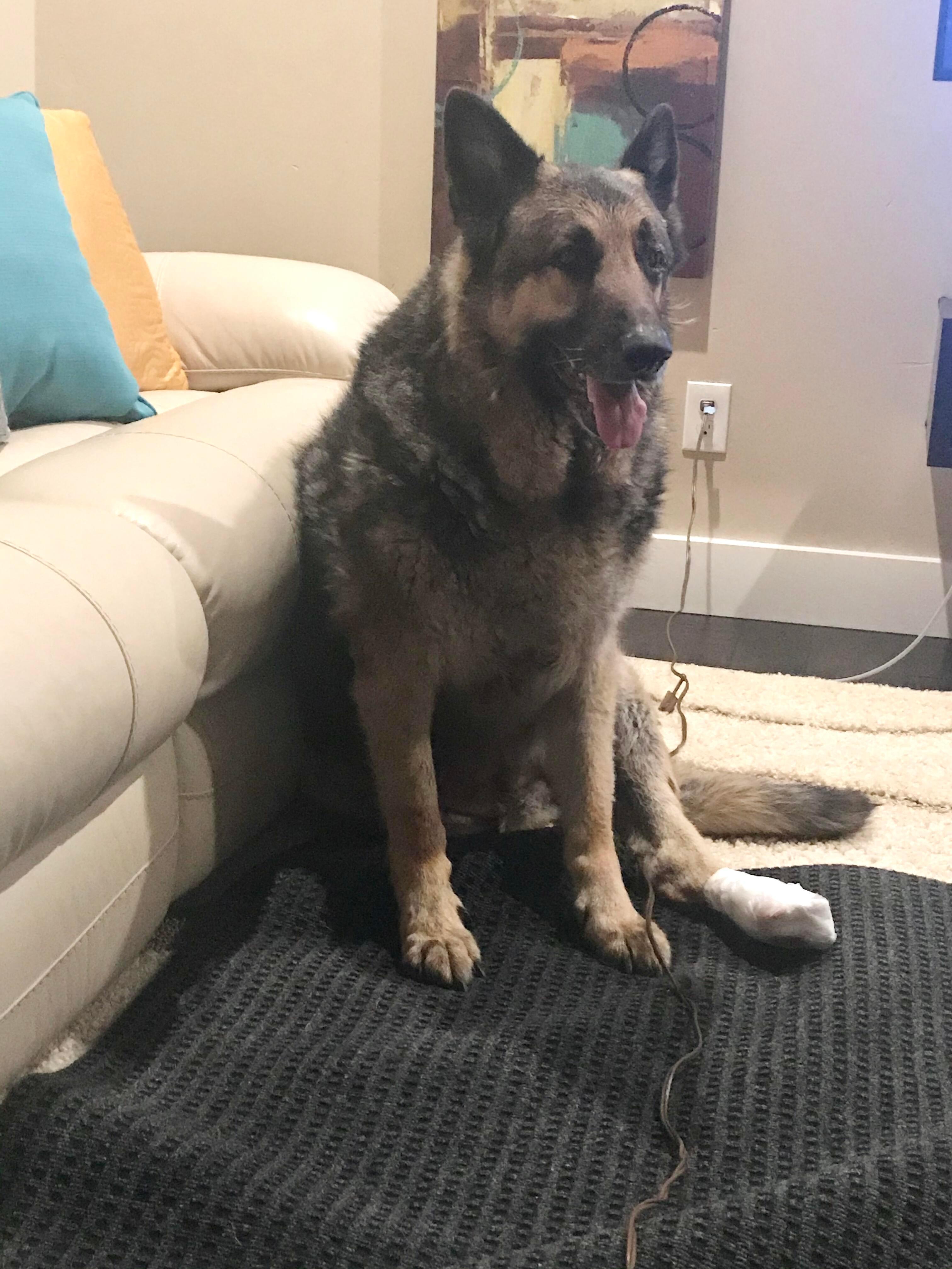 Question details sensitive content