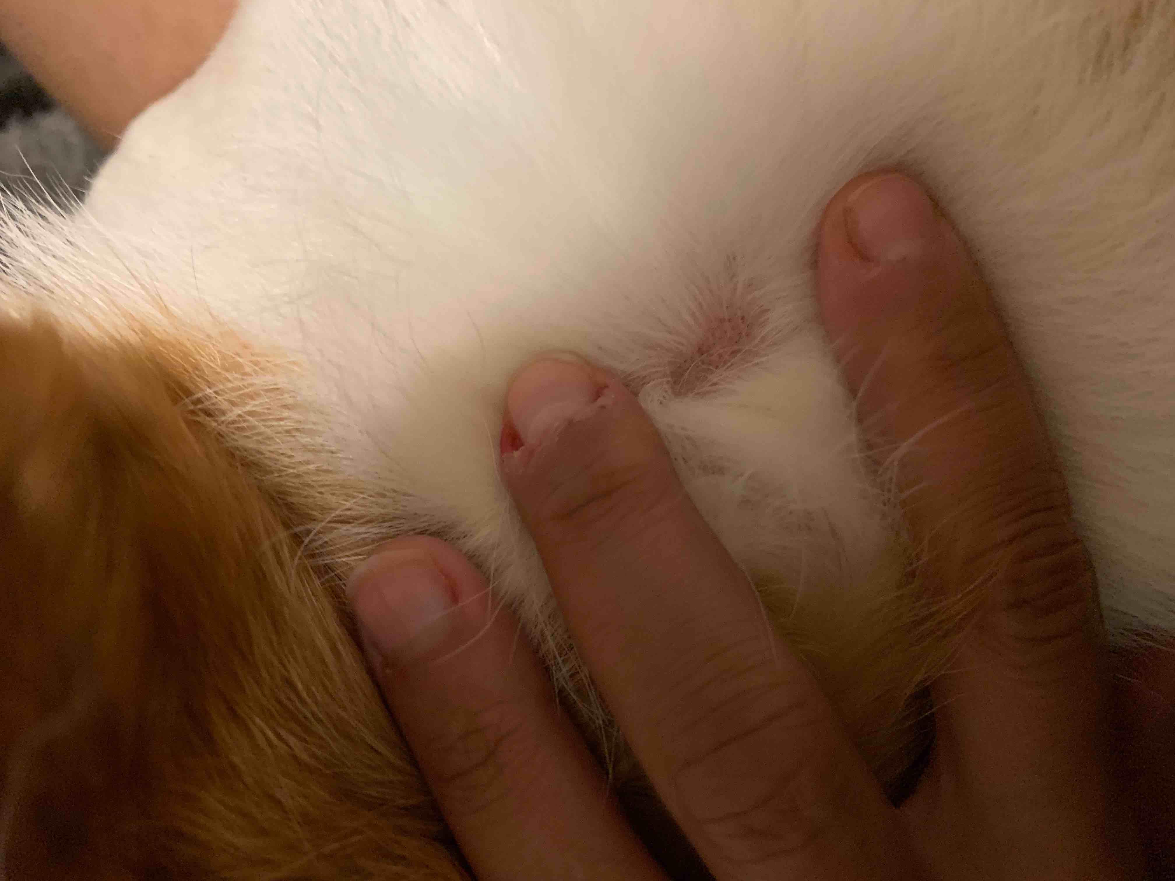 Question details sensitive content