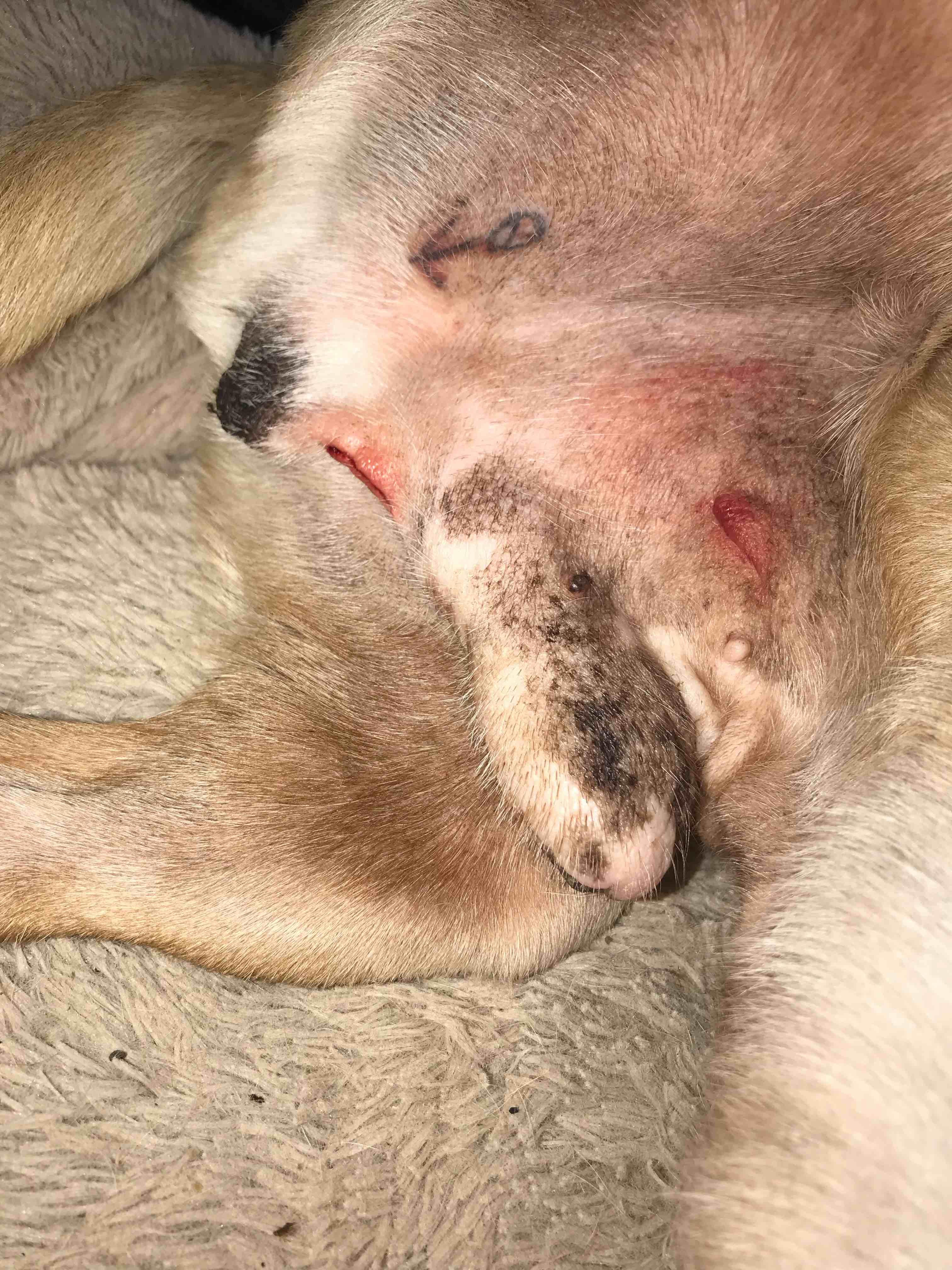 Question details sensitive content