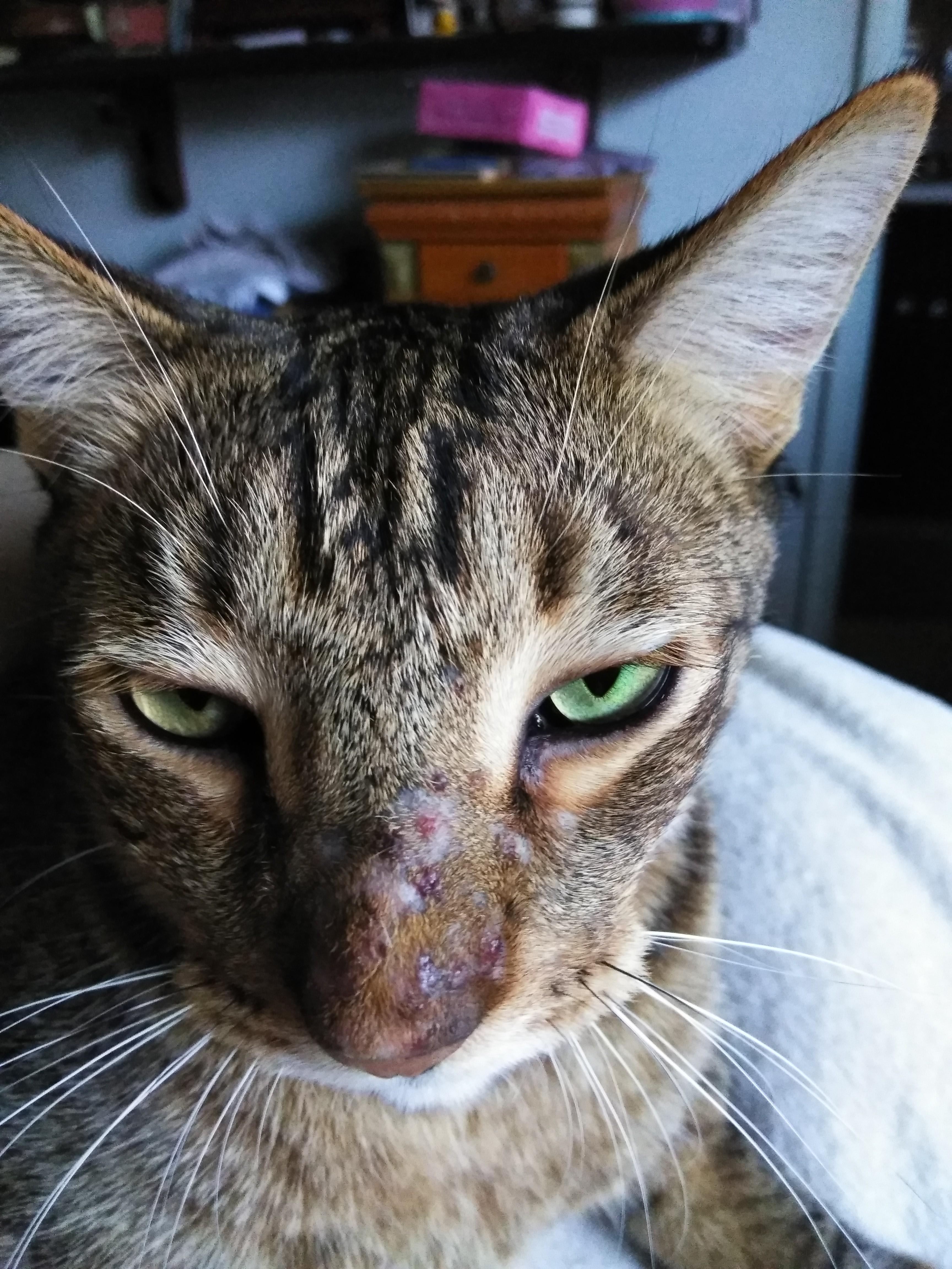 Question details sensitive content