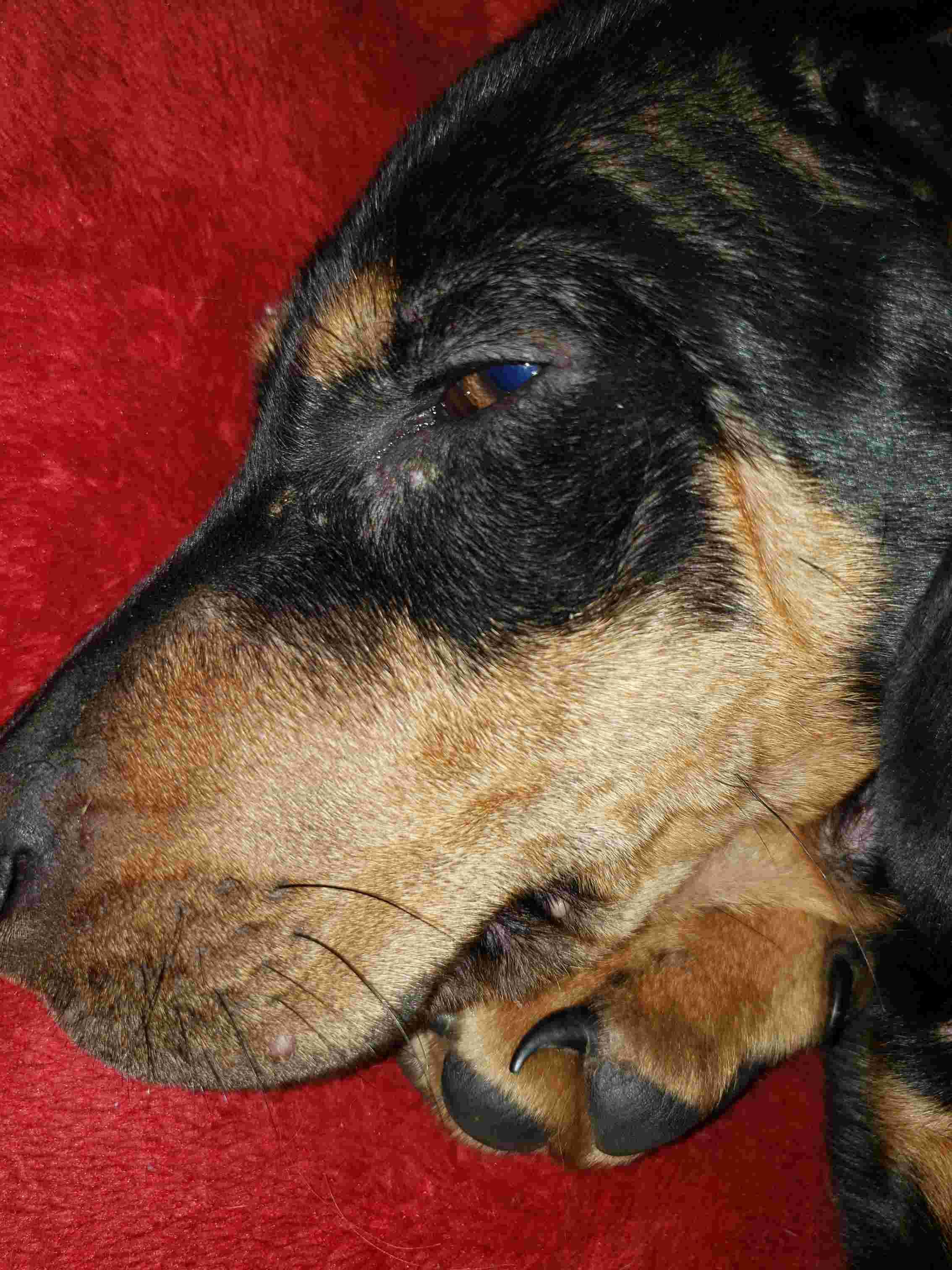 Question details sensitive content