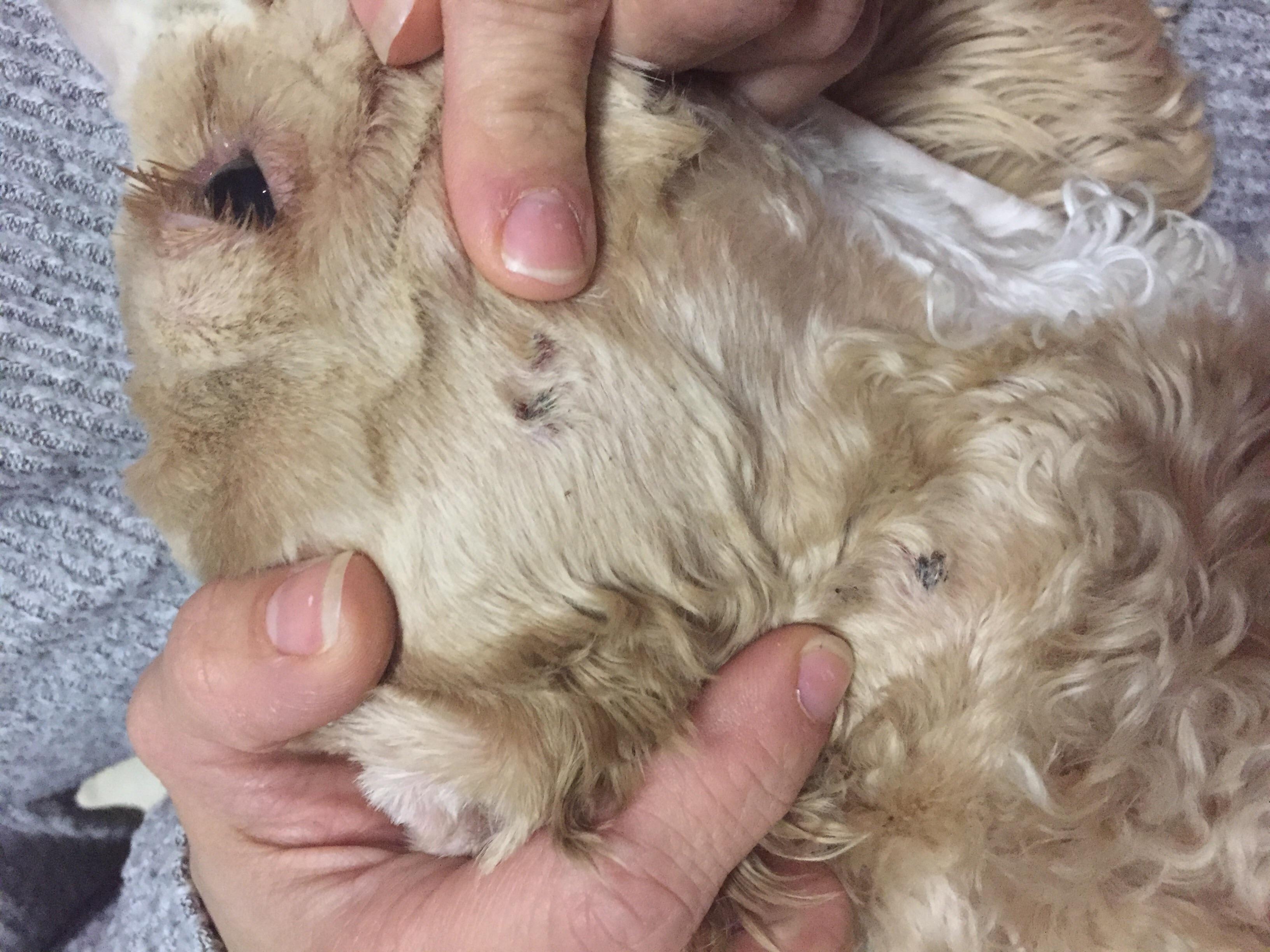 Question details sensitive content