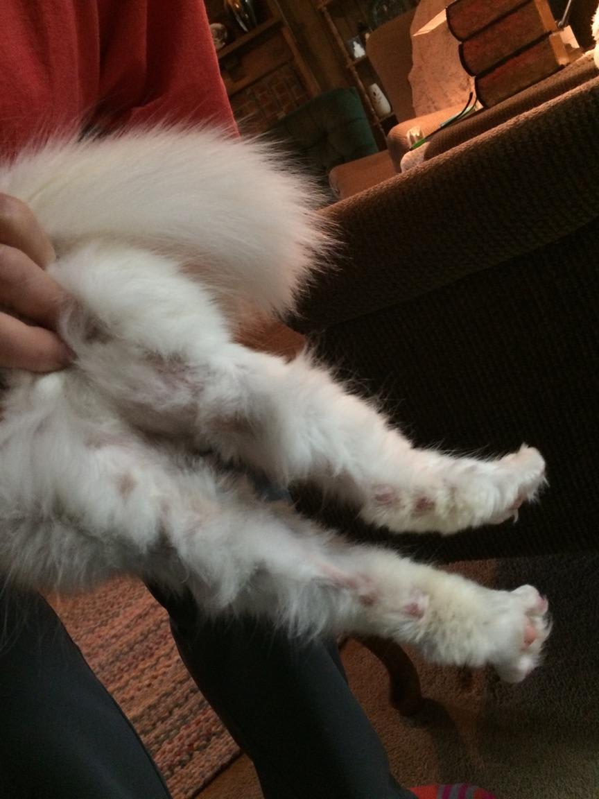 Question details sensitive content