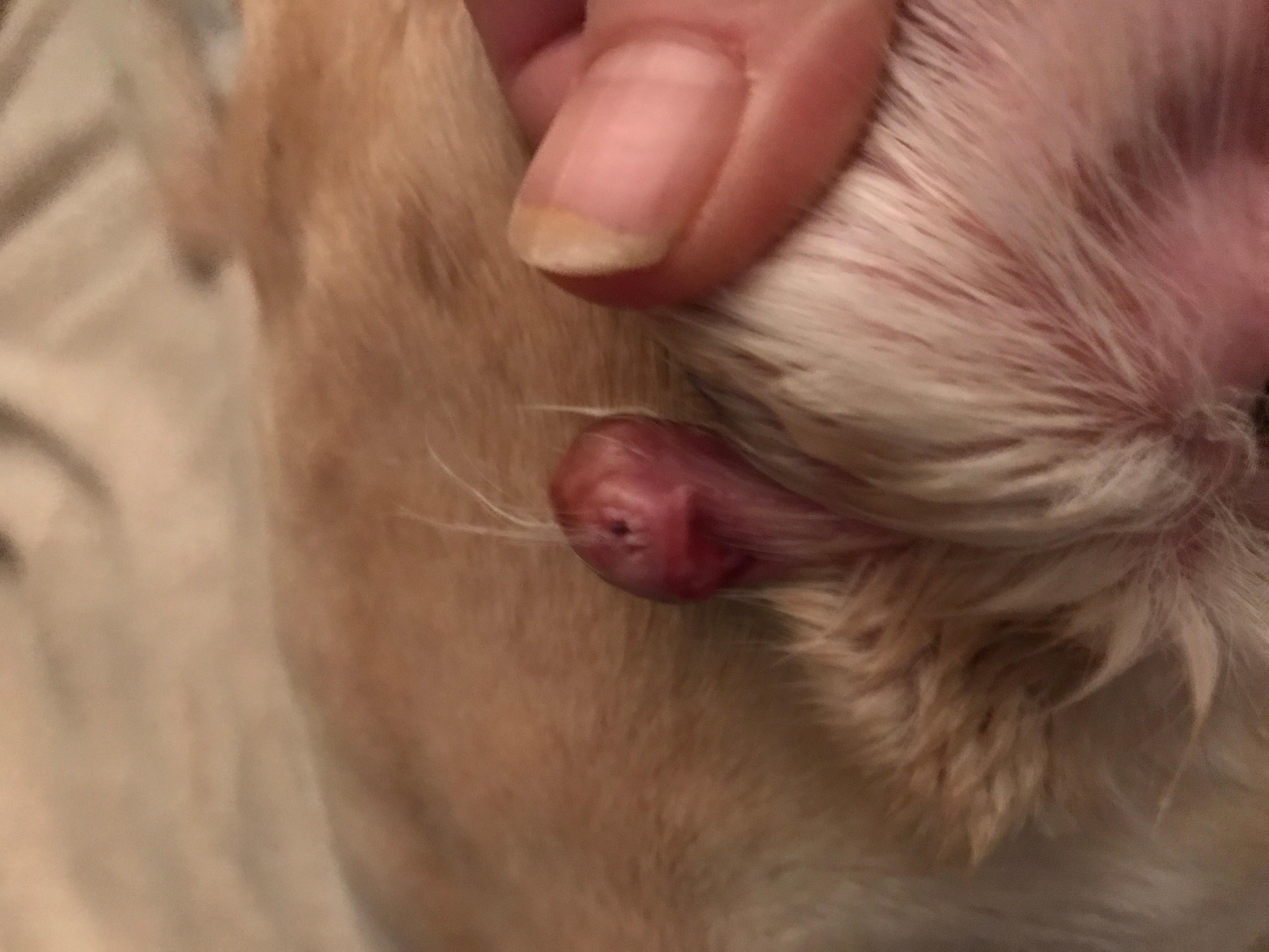 Question details sensitive content