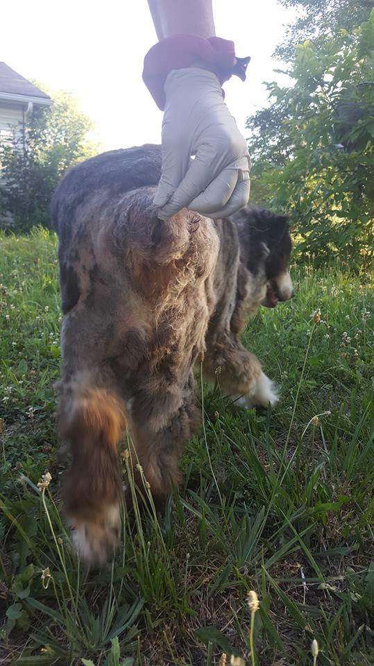 Question details sensitive content