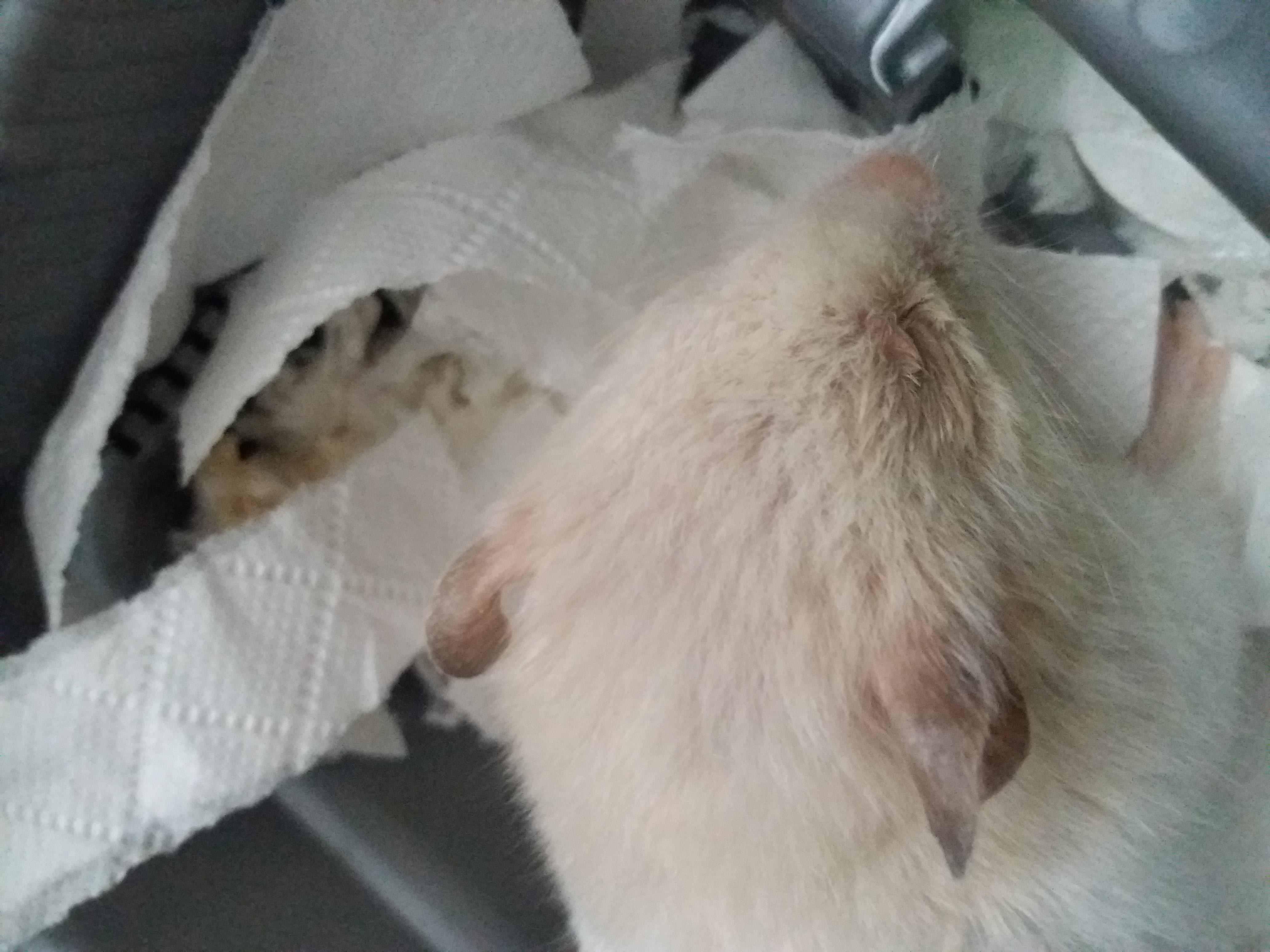 Question details sensitive content