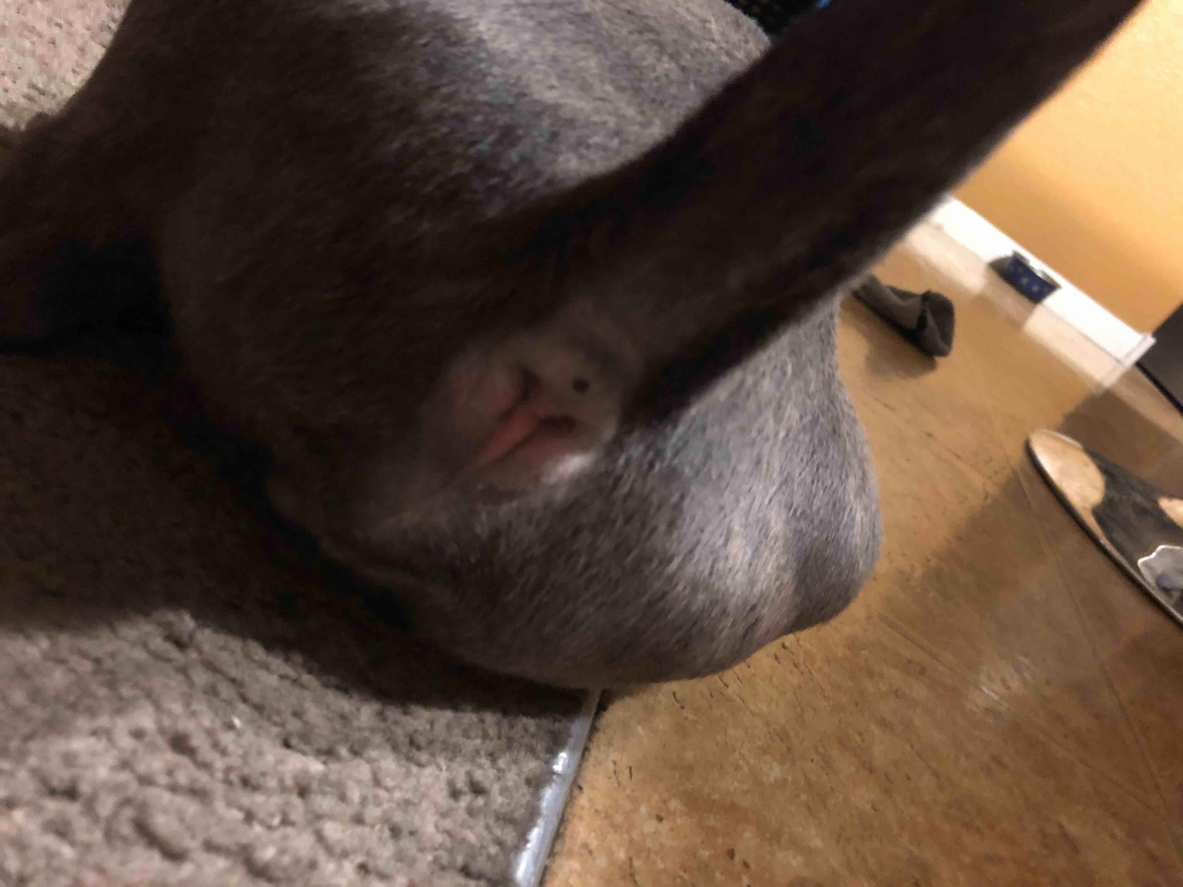 Question details sensitive content